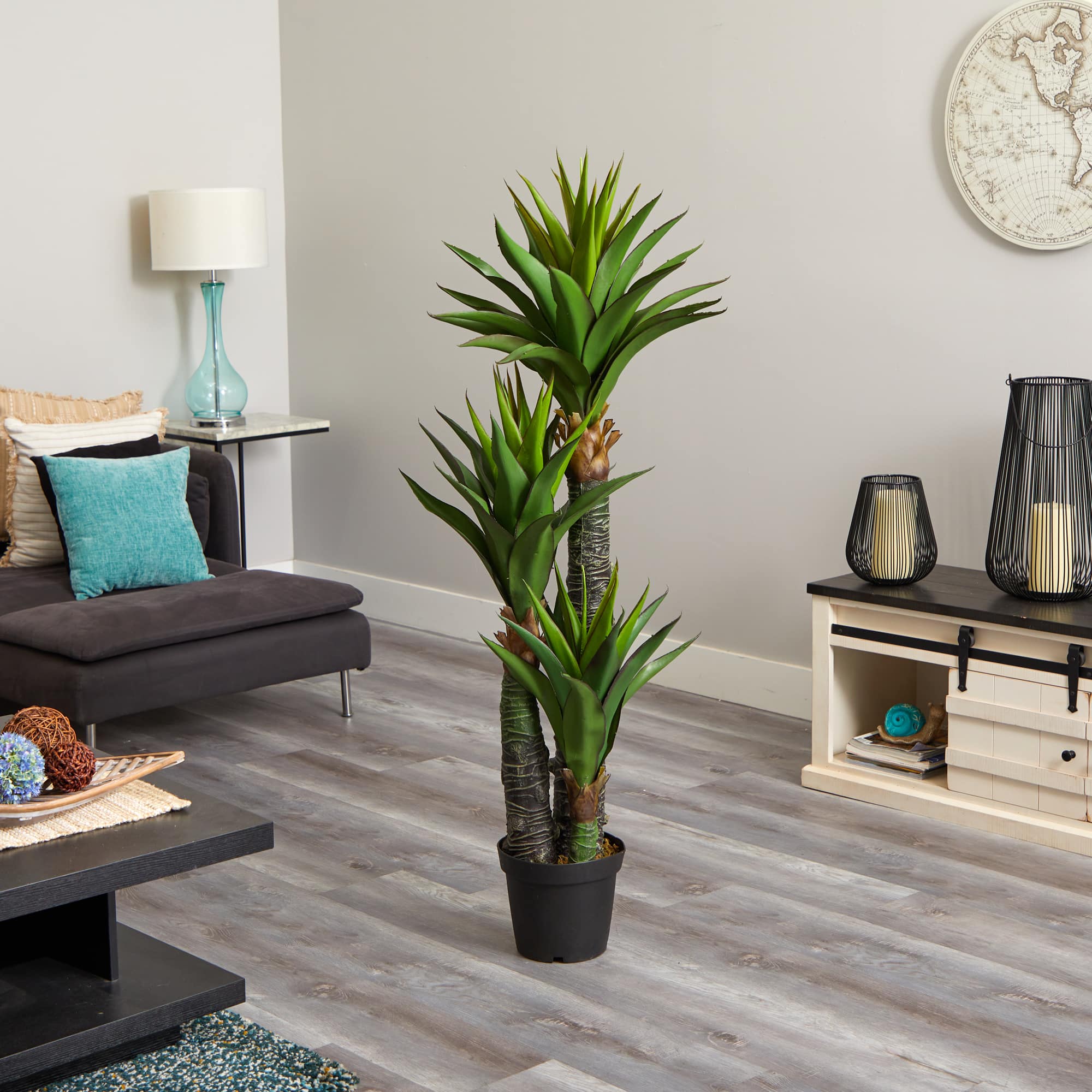 5ft. Potted Triple Stalk Yucca Tree