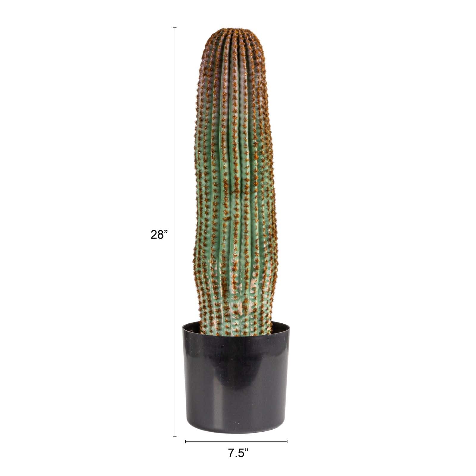 Hello Honey® Round Faux Green Vatricania Cactus in Plastic Pot