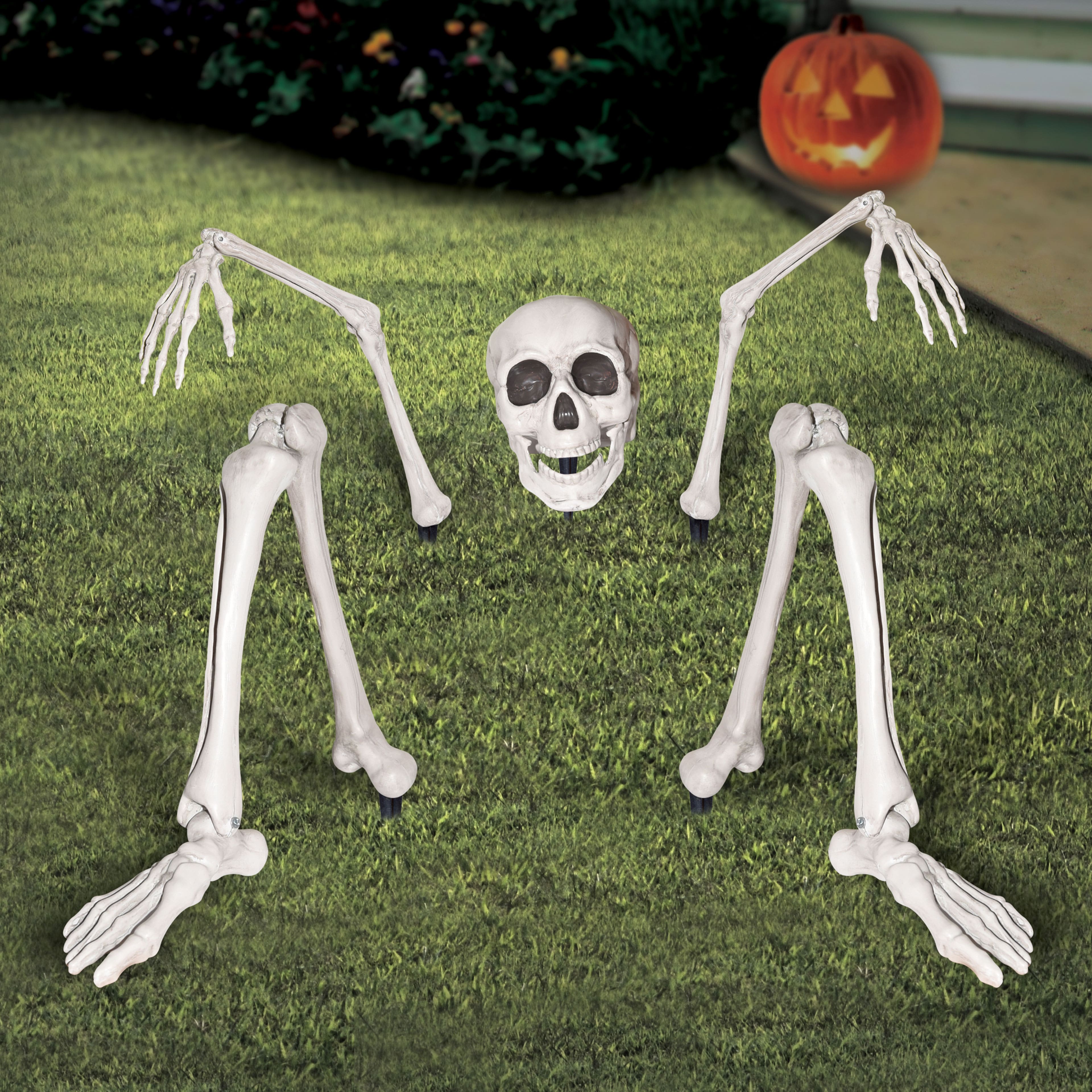 Ground Breaking Skeleton by Ashland®