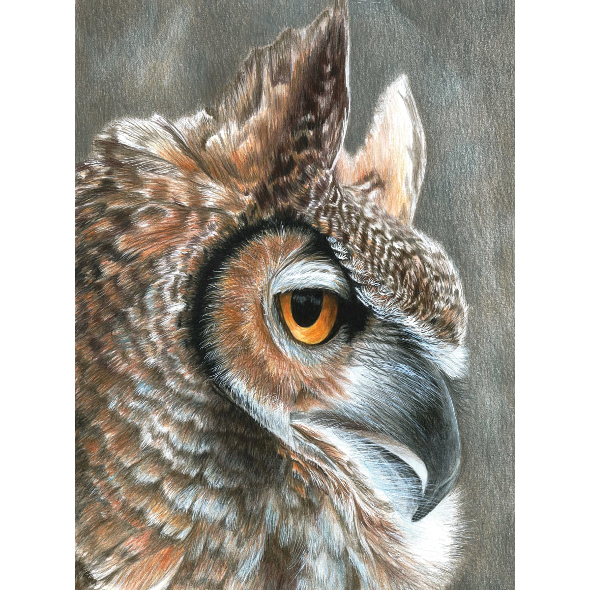 Royal &#x26; Langnickel&#xAE; Sepia Owl Colour Pencil&#x2122; by Numbers Kit