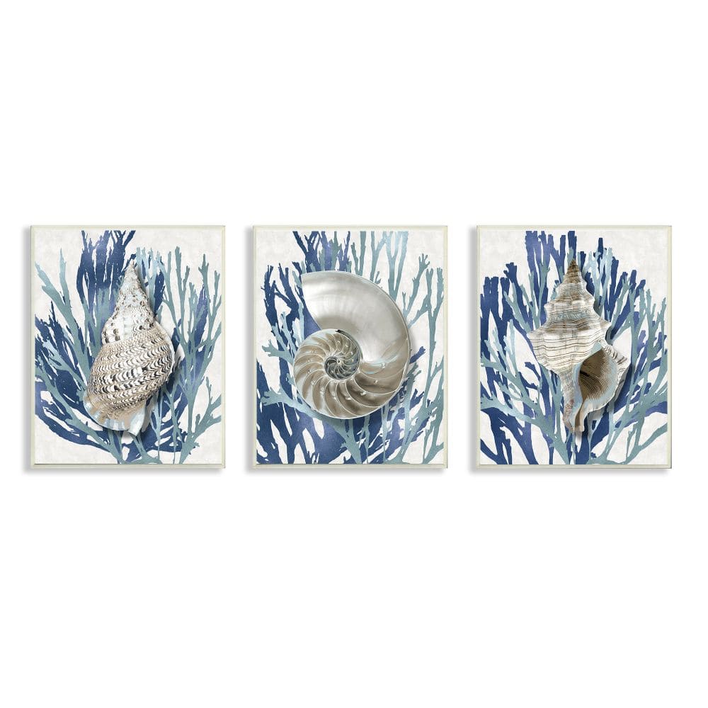 Stupell Industries Trio of Shell Coral Blue Beach Design,10