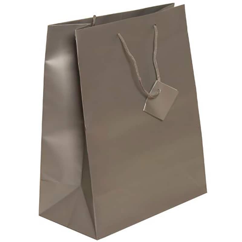 JAM Paper Large Matte Gift Bag, 3ct.