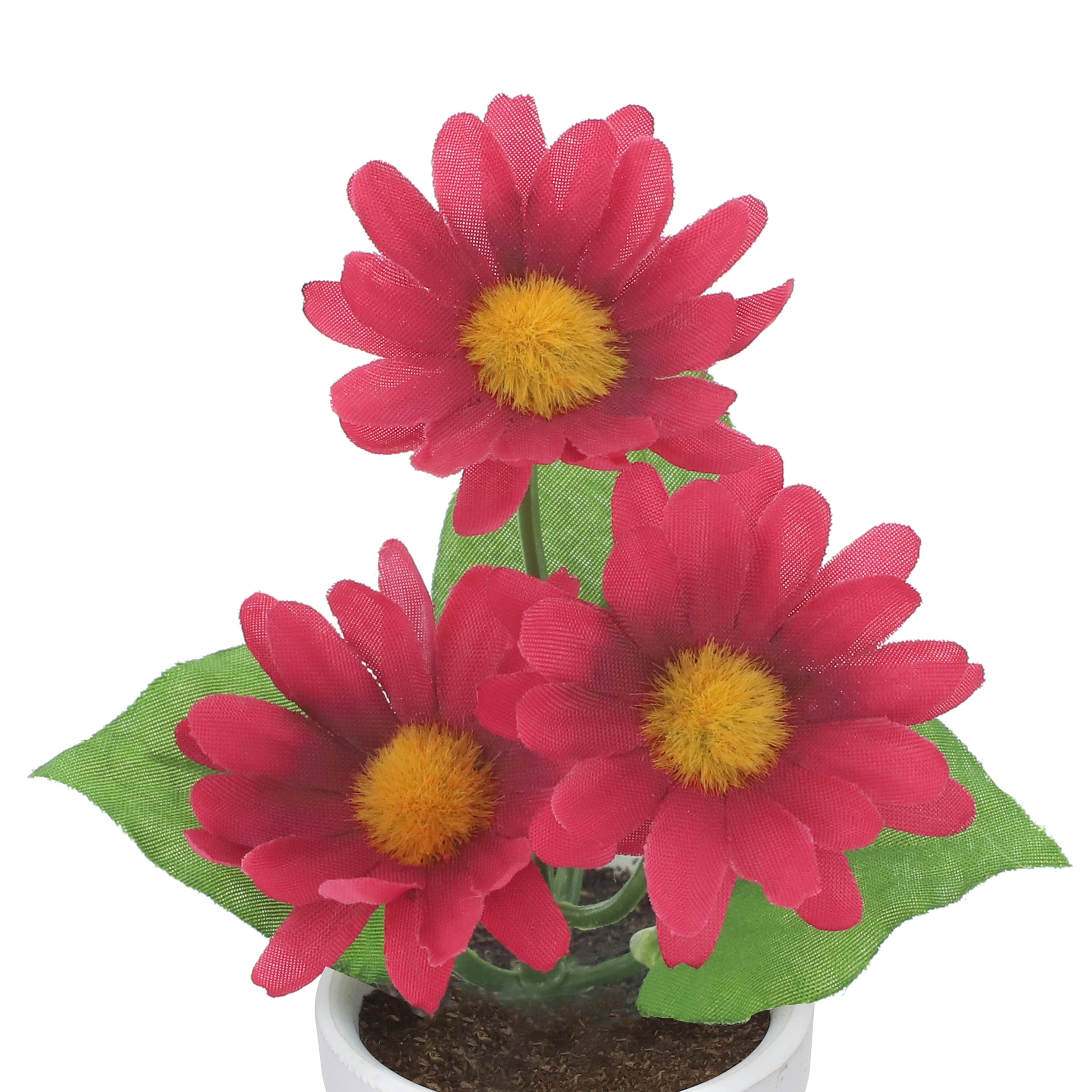 4" Daisy Arrangement in White Container by Ashland