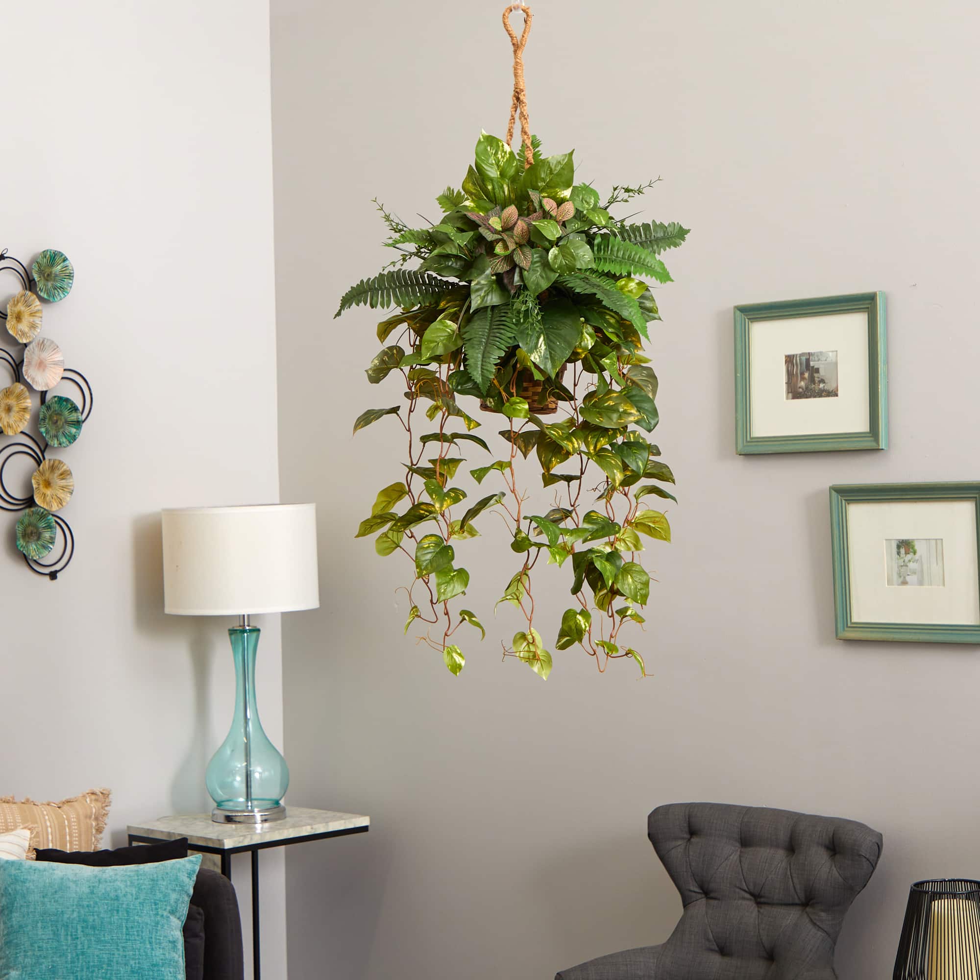 3.5ft Pothos and Boston Fern Hanging Basket