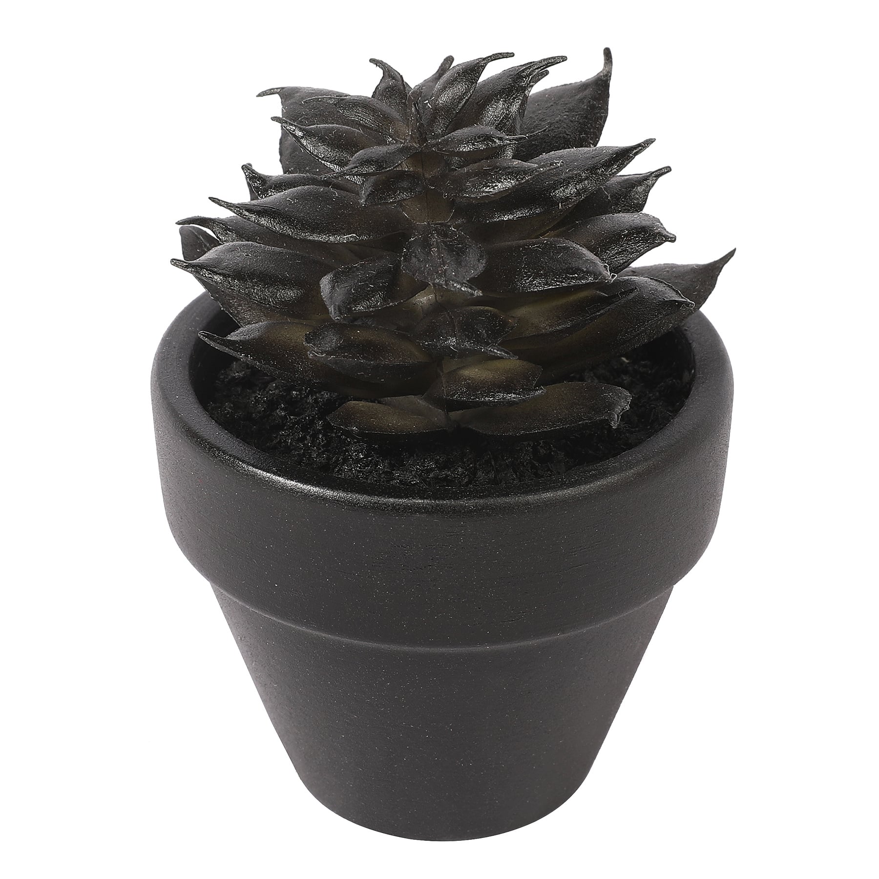Assorted Mini Potted Succulent by Ashland&#xAE;, 1pc.