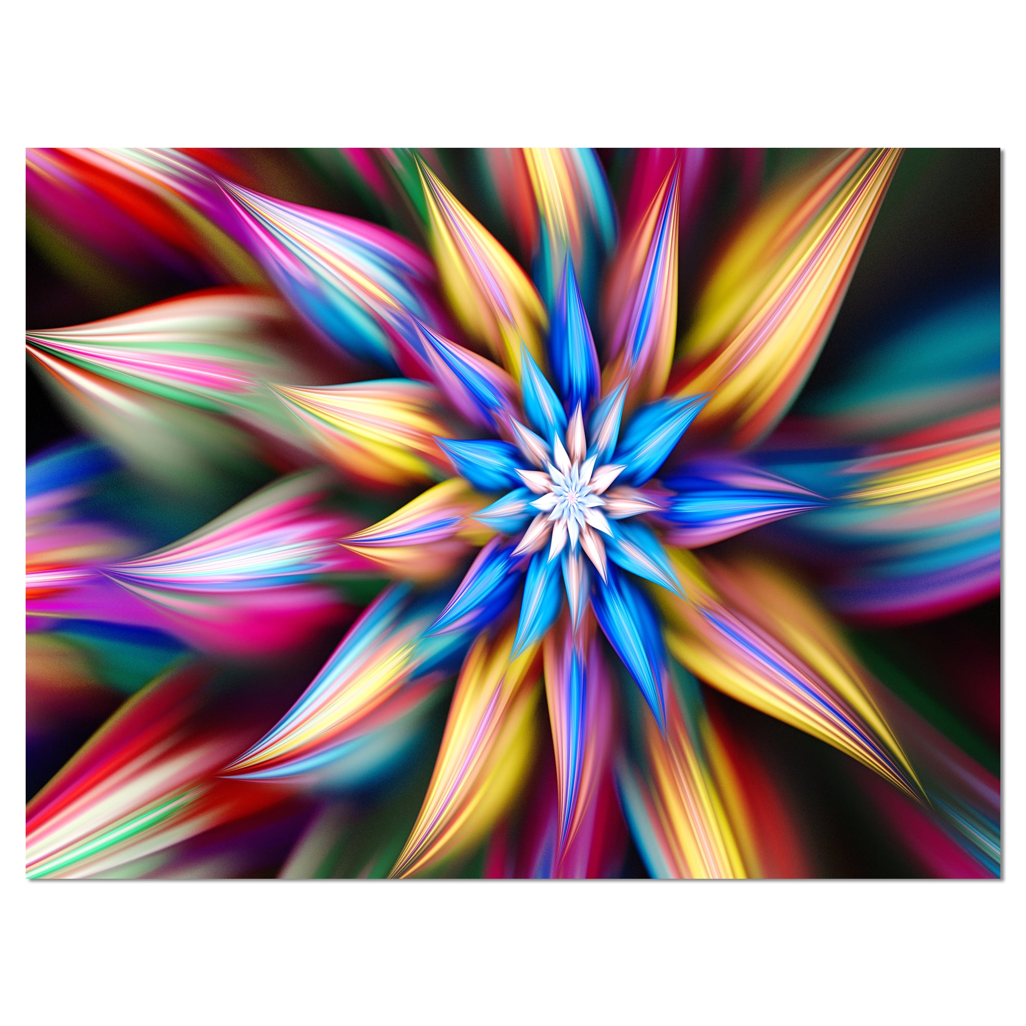 Designart - Exotic Multi Color Flower Petals - Floral Canvas Art Print