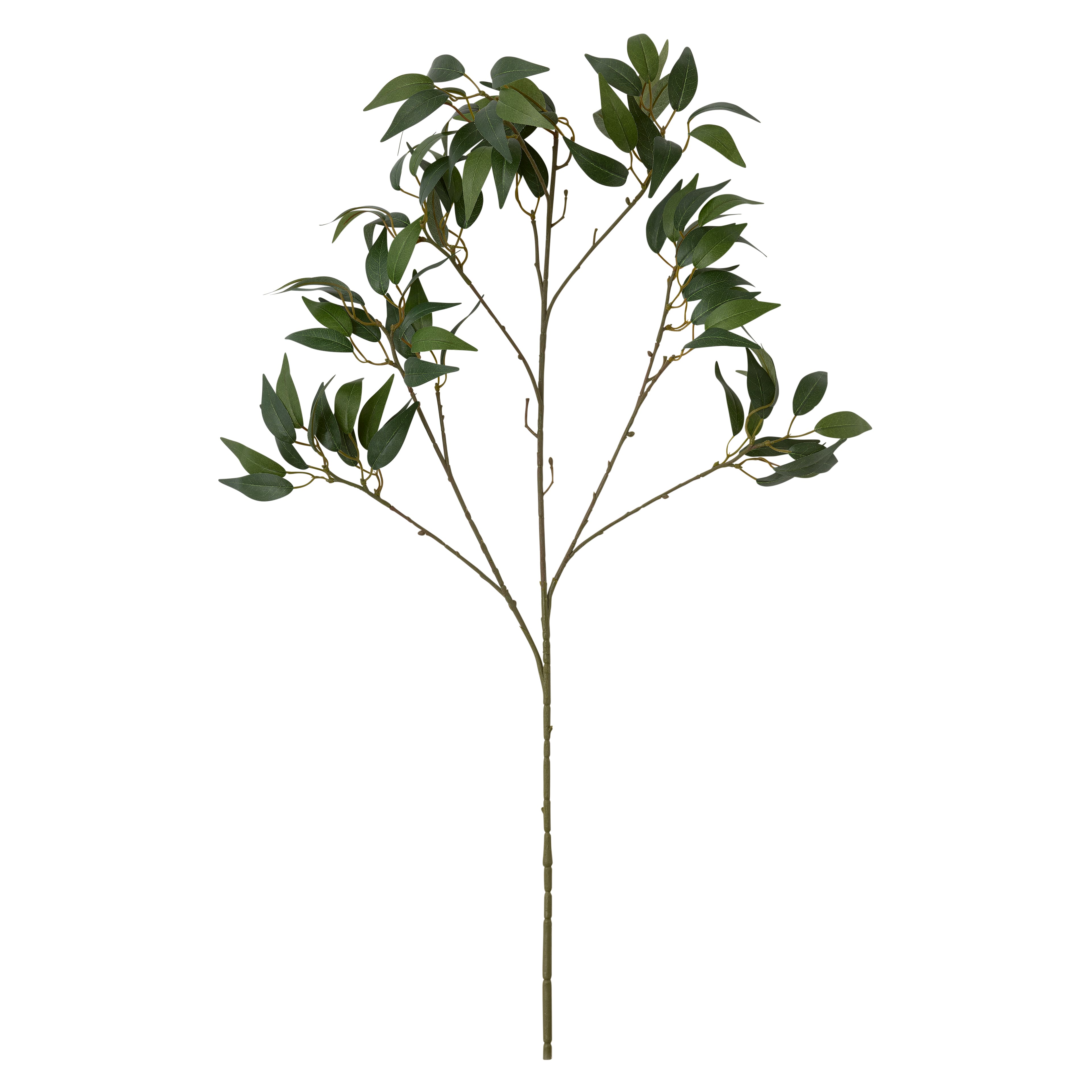 12 Pack: Green Osmanthus Stem by Ashland&#xAE;