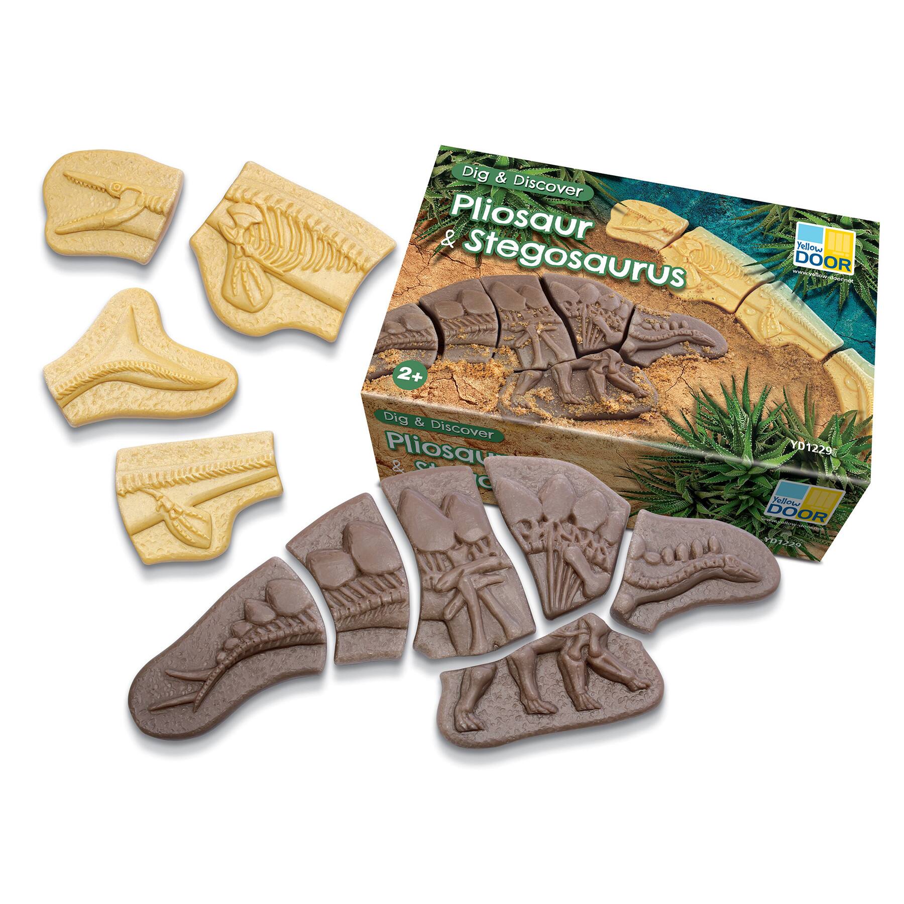 Yellow Door Dig & Discover Pliosaur & Stegosaurus Dinosaur Skeletons Set
