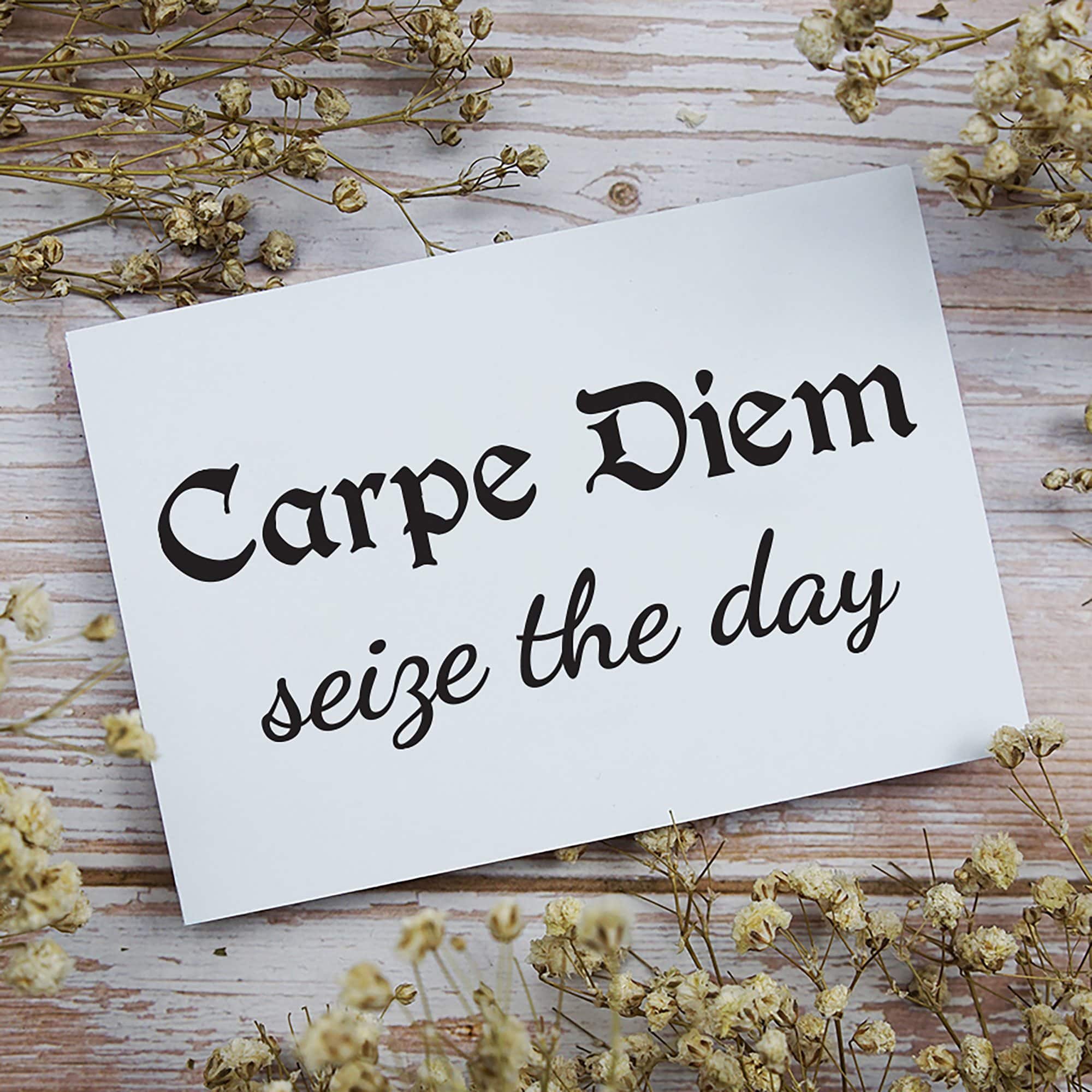 Leisure Arts&#xAE; Vinyl Carpe Diem Seize The Day Black Wall Decal
