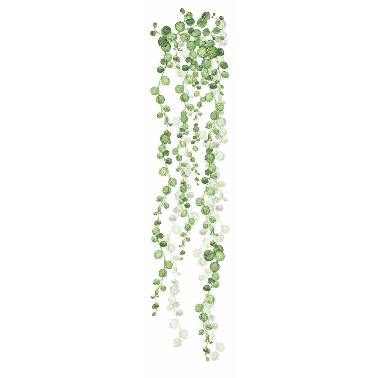 RoomMates String Of Pearls Vine Peel & Stick Wall Decals
