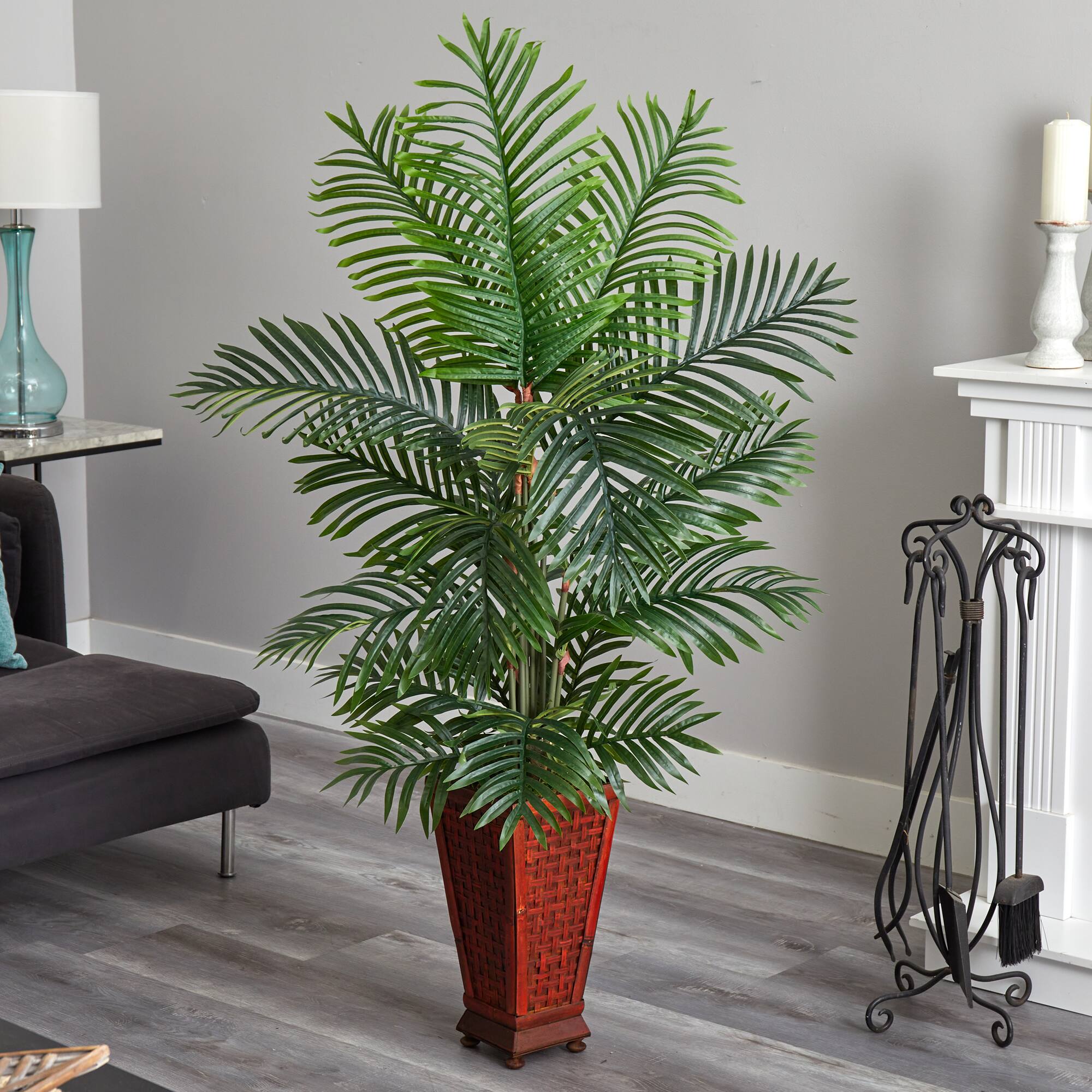 5ft. Kentia Palm Tree in Decorative Planter