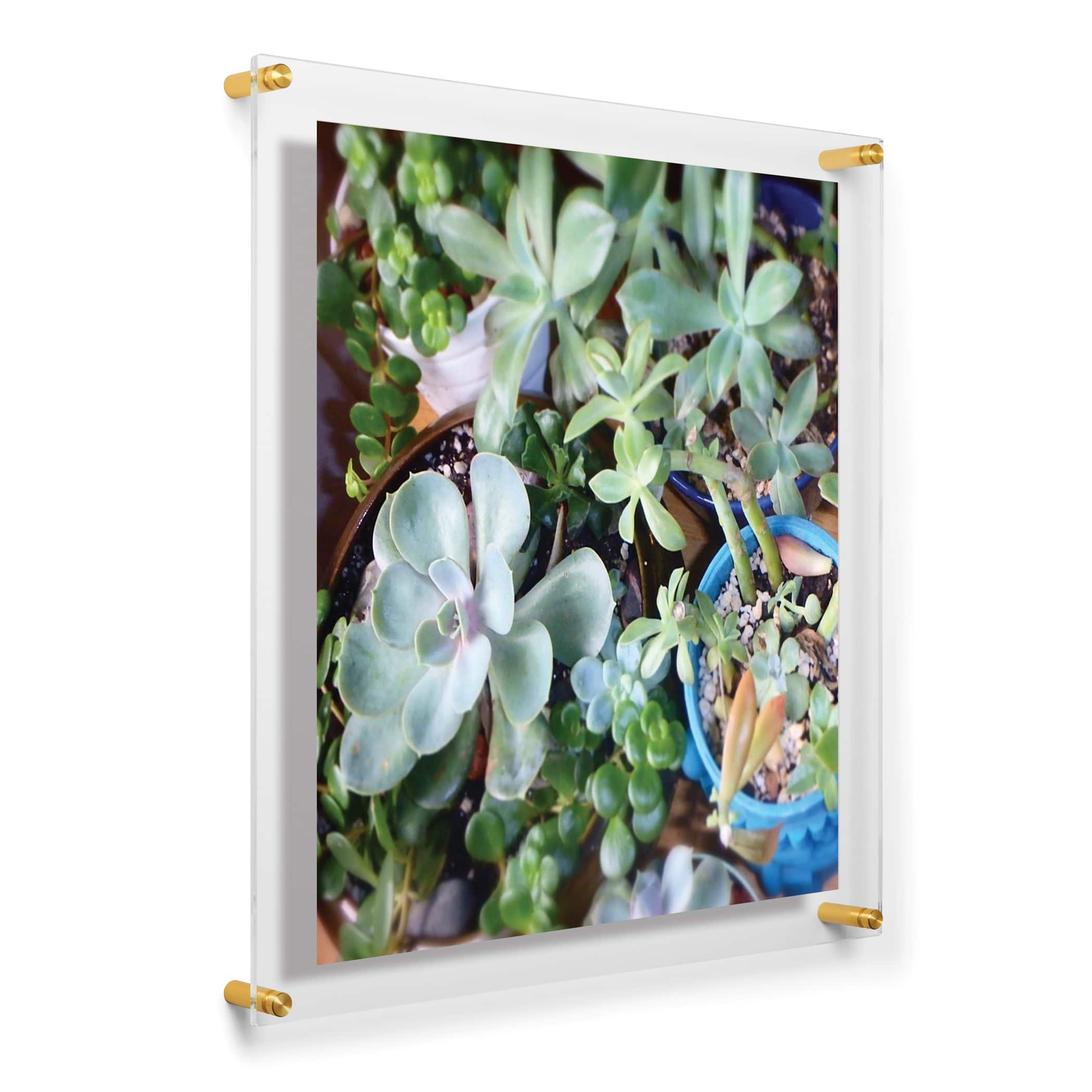 Modern Float Frame for 6x6 Photos | Made in The USA by Wexel Art