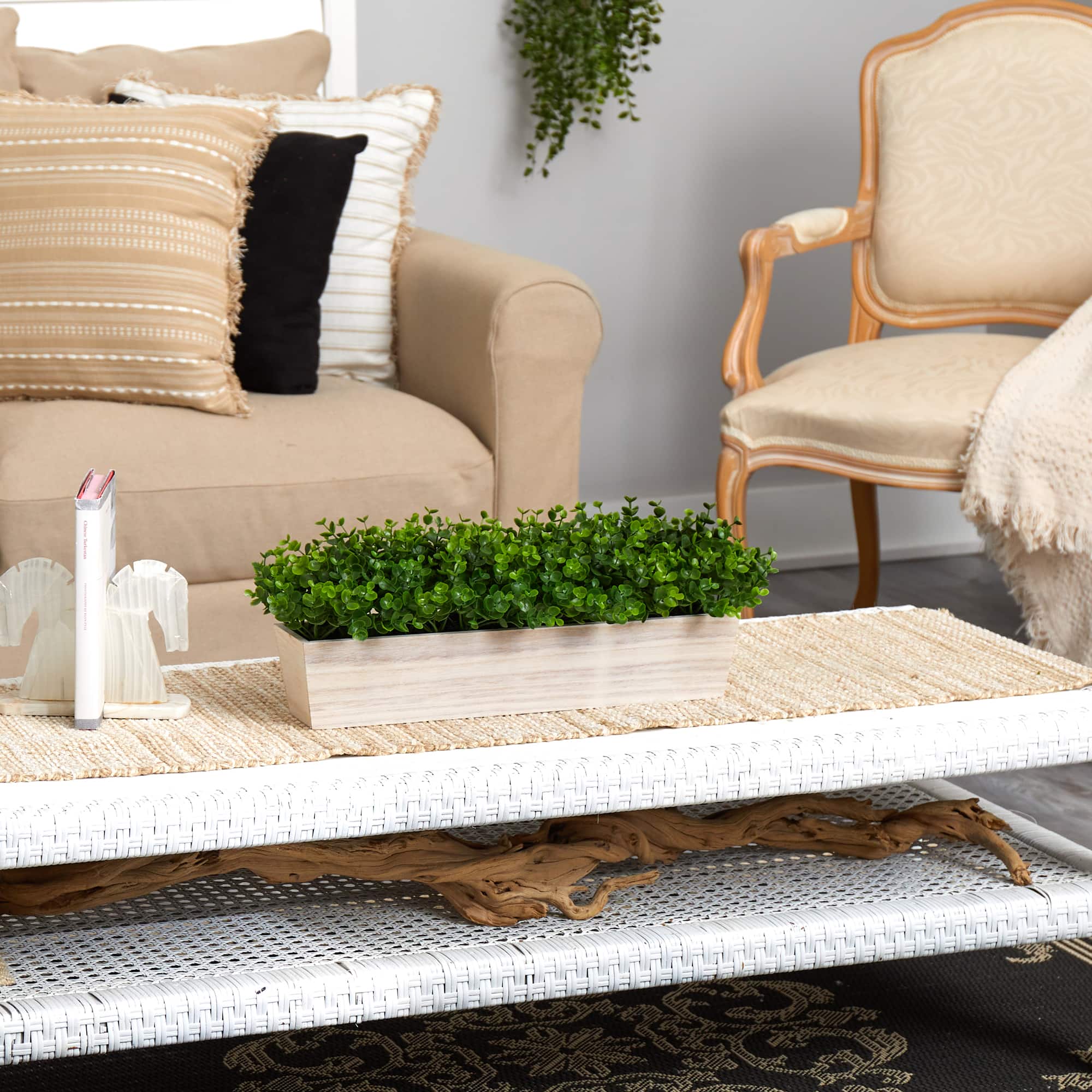 8" Eucalyptus in Decorative Planter