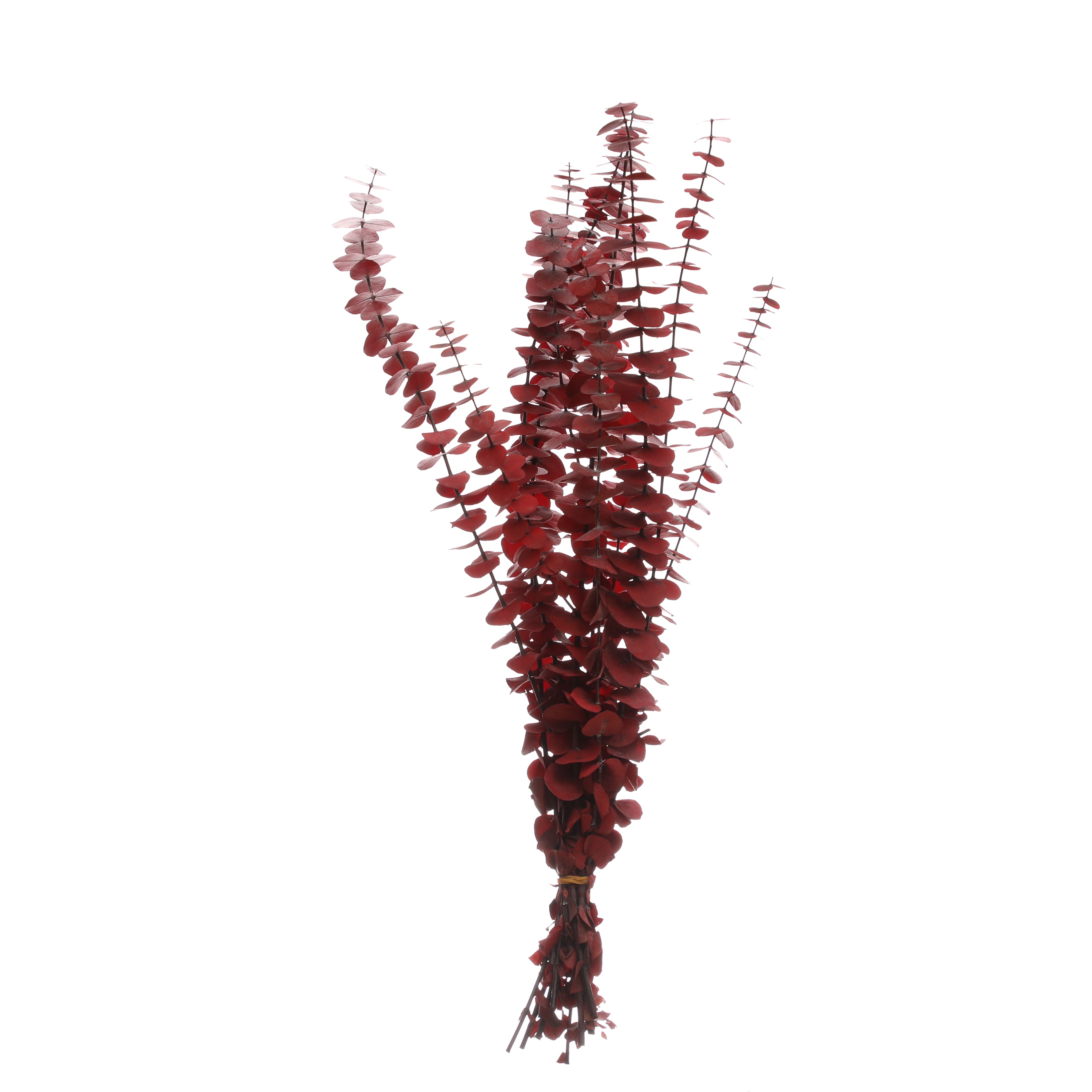 24&#x22; Eucalyptus Bundle by Ashland&#xAE;