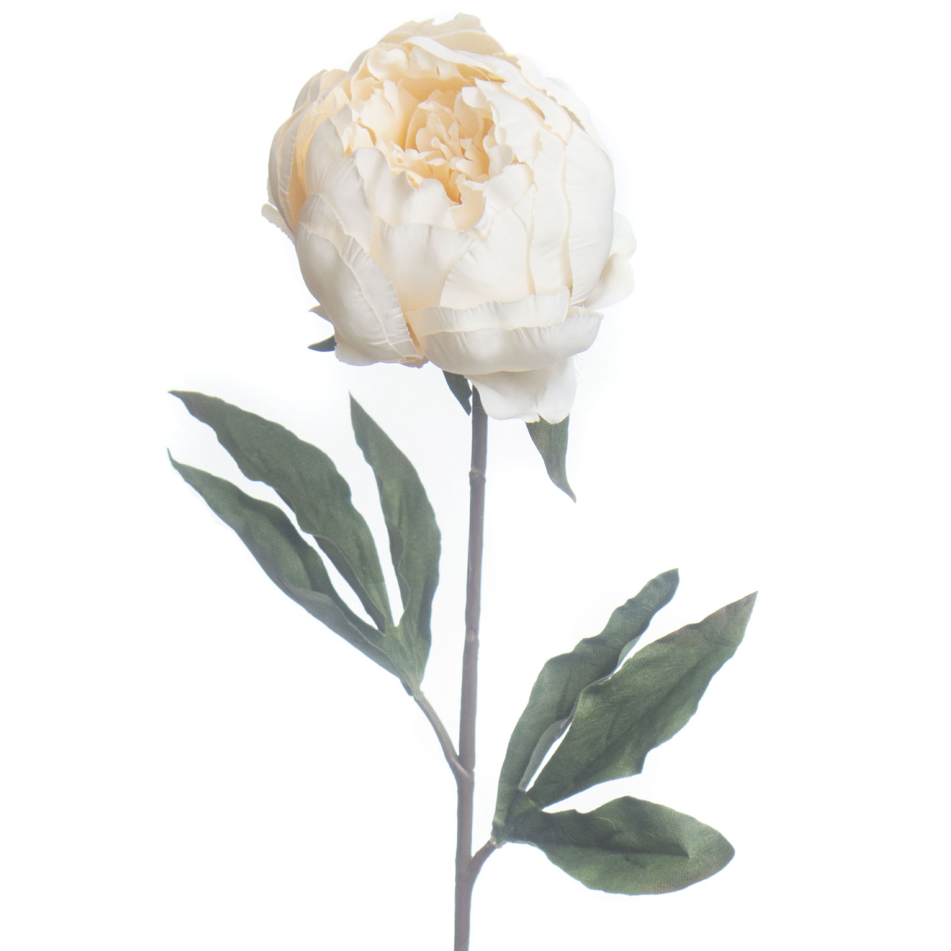 27&#x22; Cream Peony Stem by Ashland&#xAE; Fall