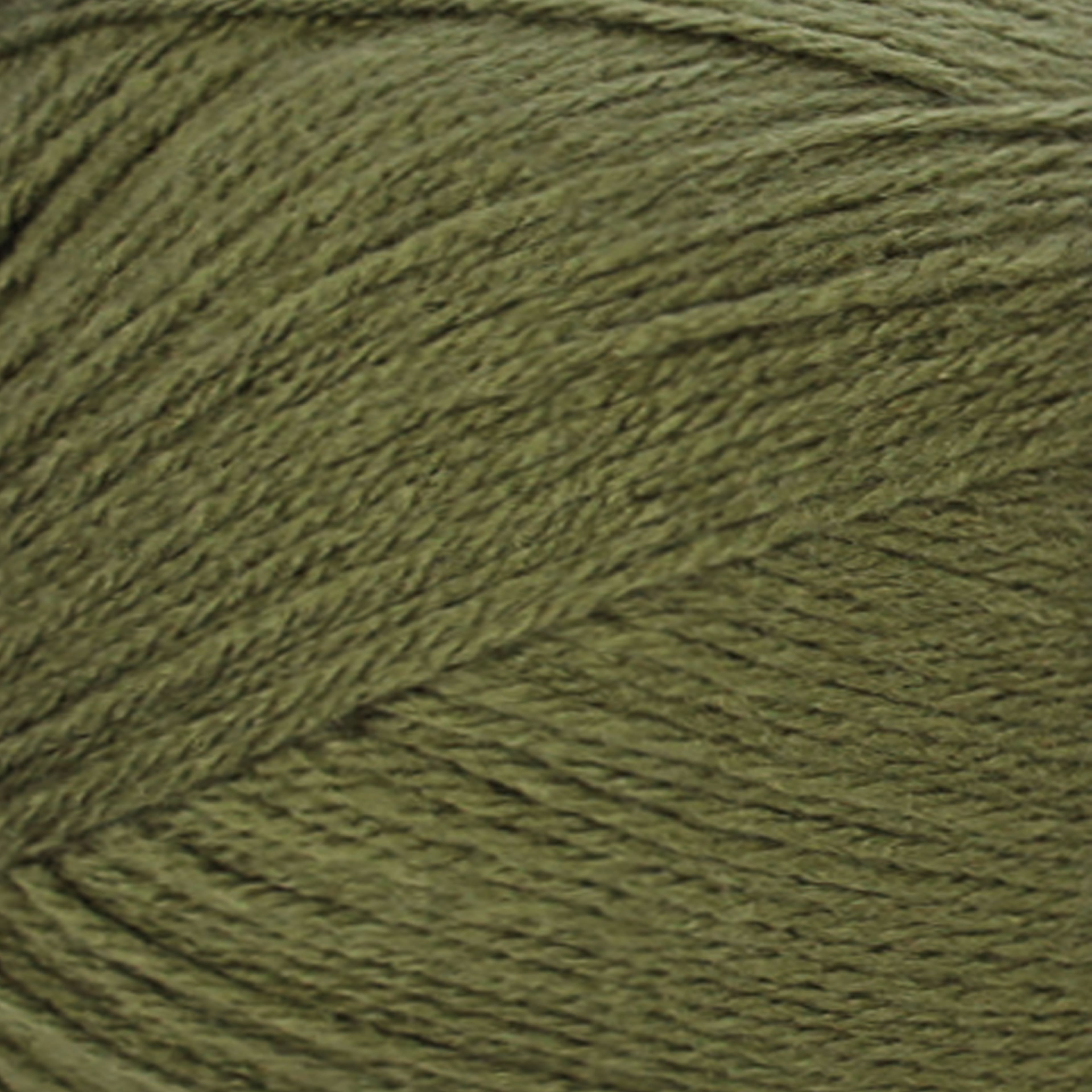 Big Twist&#xAE; Value Pound+ Yarn