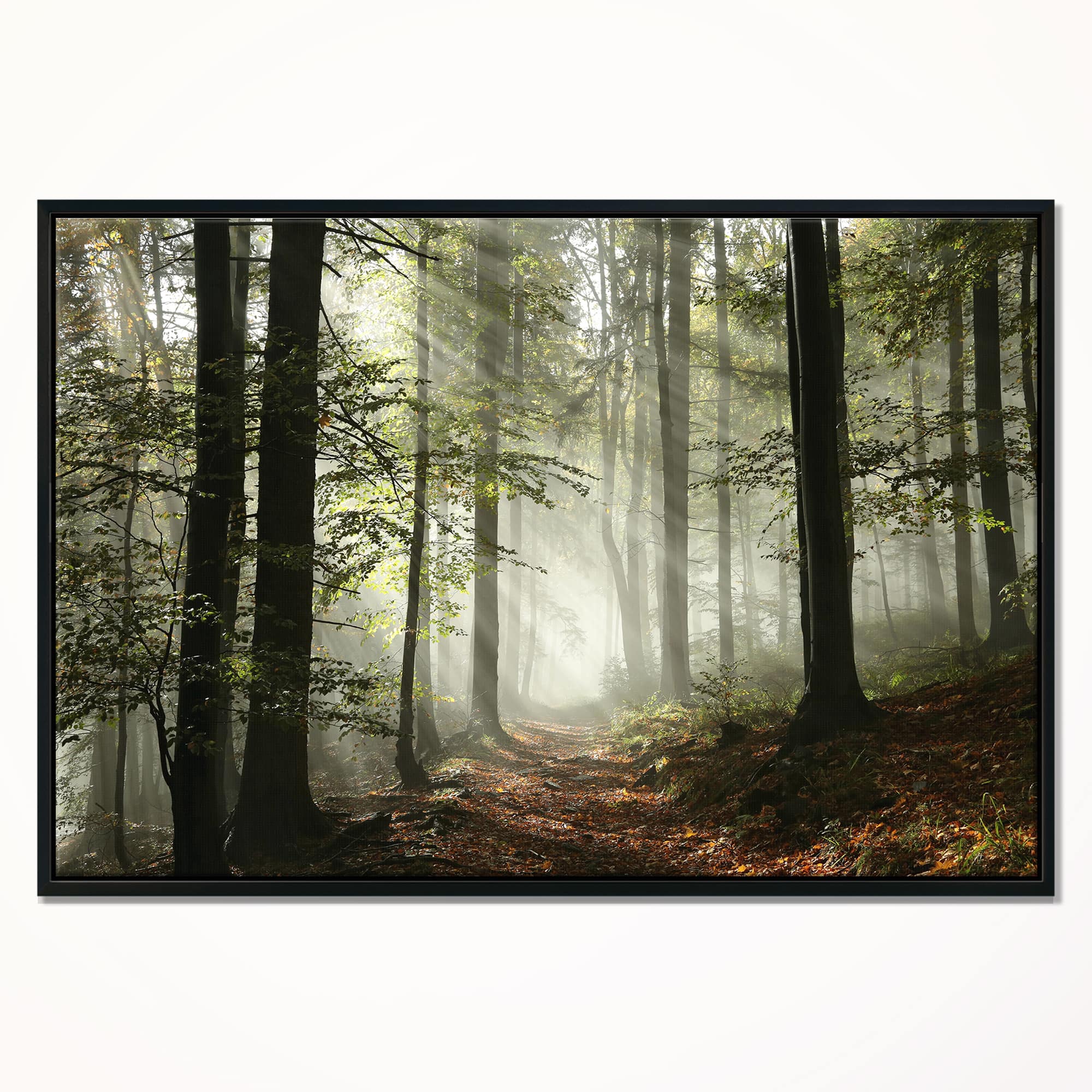 Designart - Light in Dense Fall Forest with Fog - Landscape Art Print Framed Canvas