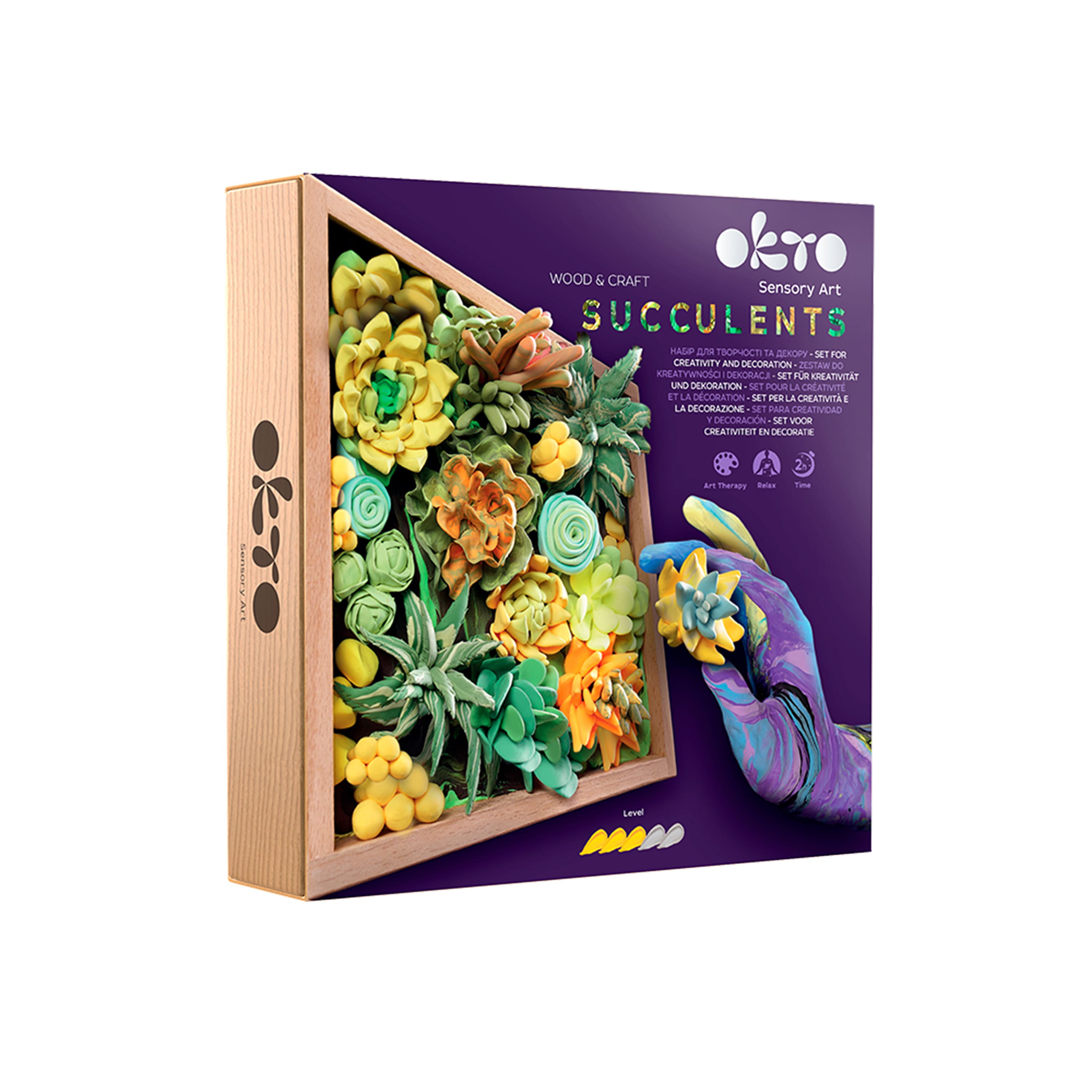 OKTO DIY Wood &#x26; Craft Energy Succulents Clay Kit