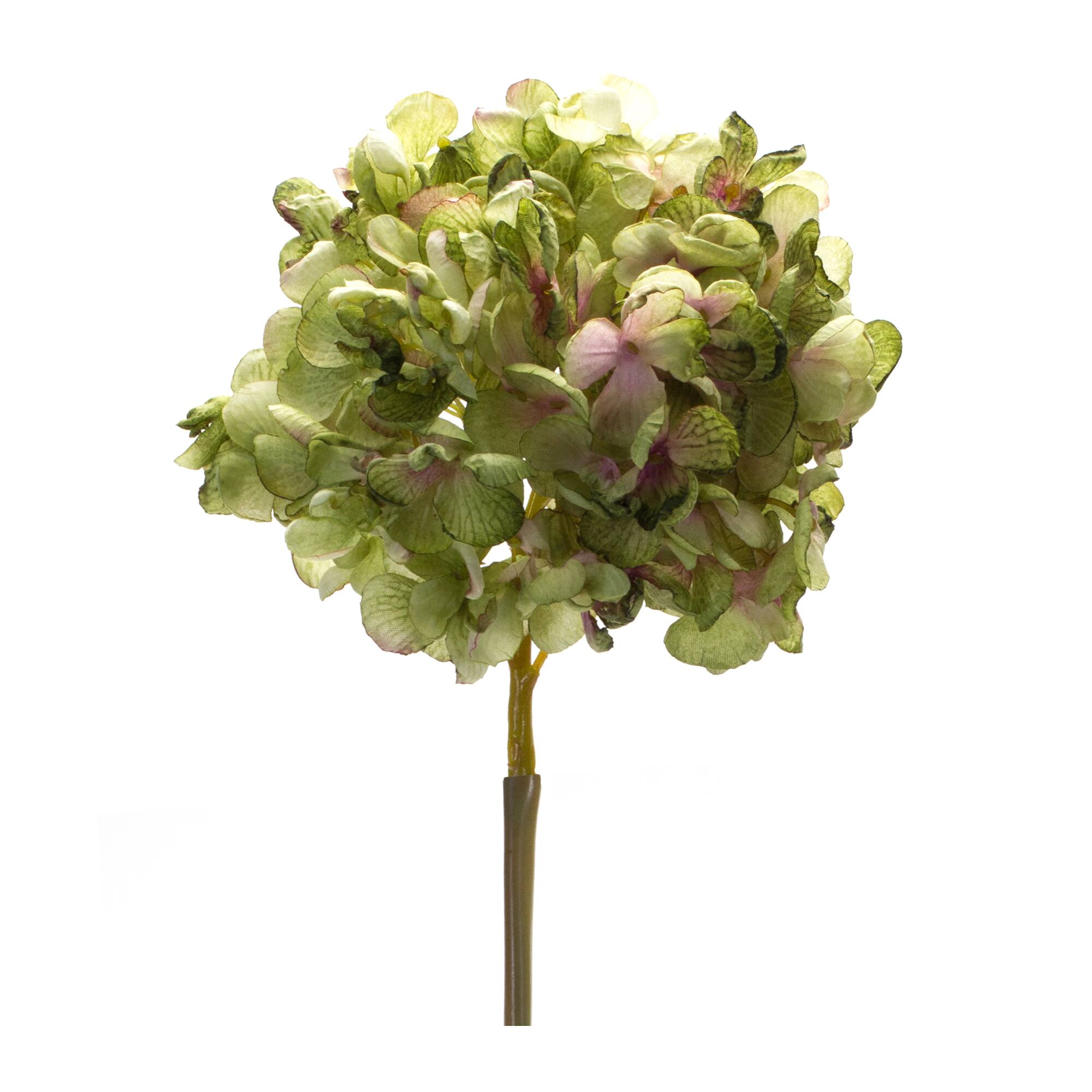 23" Green Hydrangea Stem, 6ct.