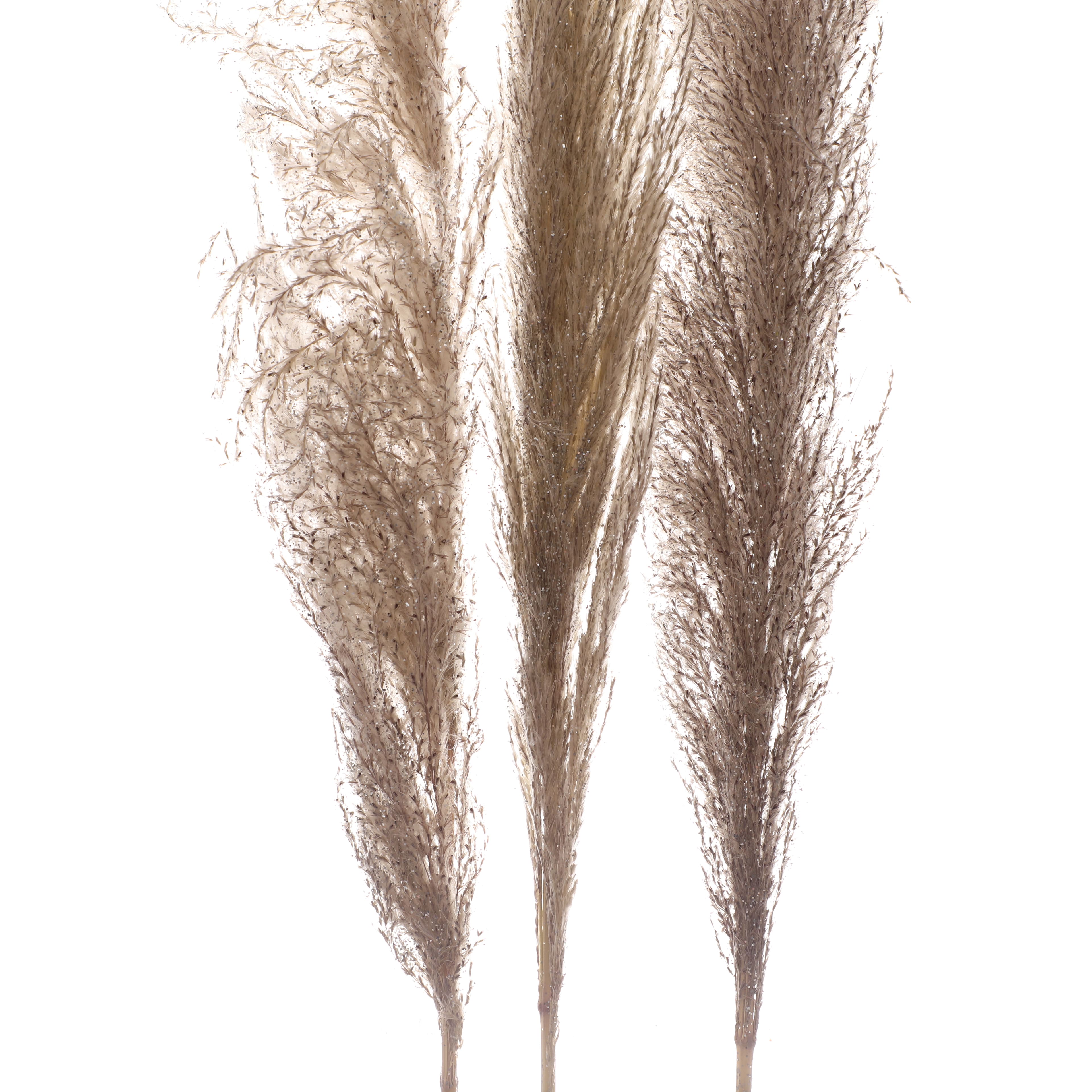 3.5ft. Natural Glitter Pampas Bundle by Ashland&#xAE;