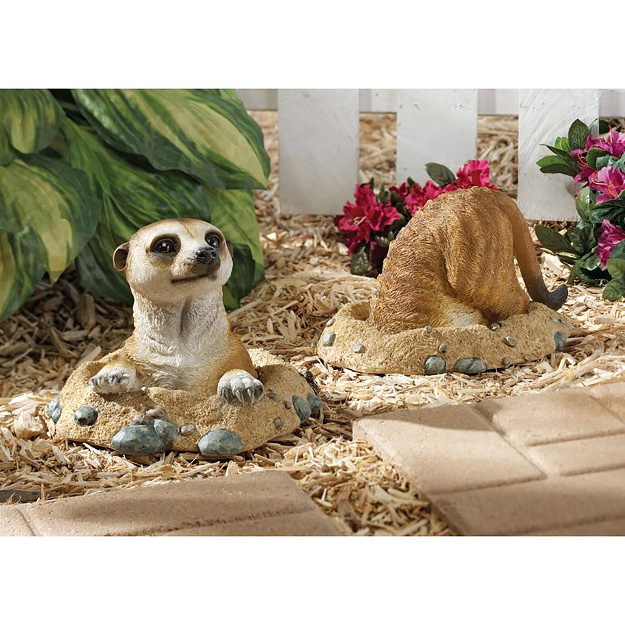 Design Toscano Into Hole & Out of Hole Kalahari Meerkat Statue Set