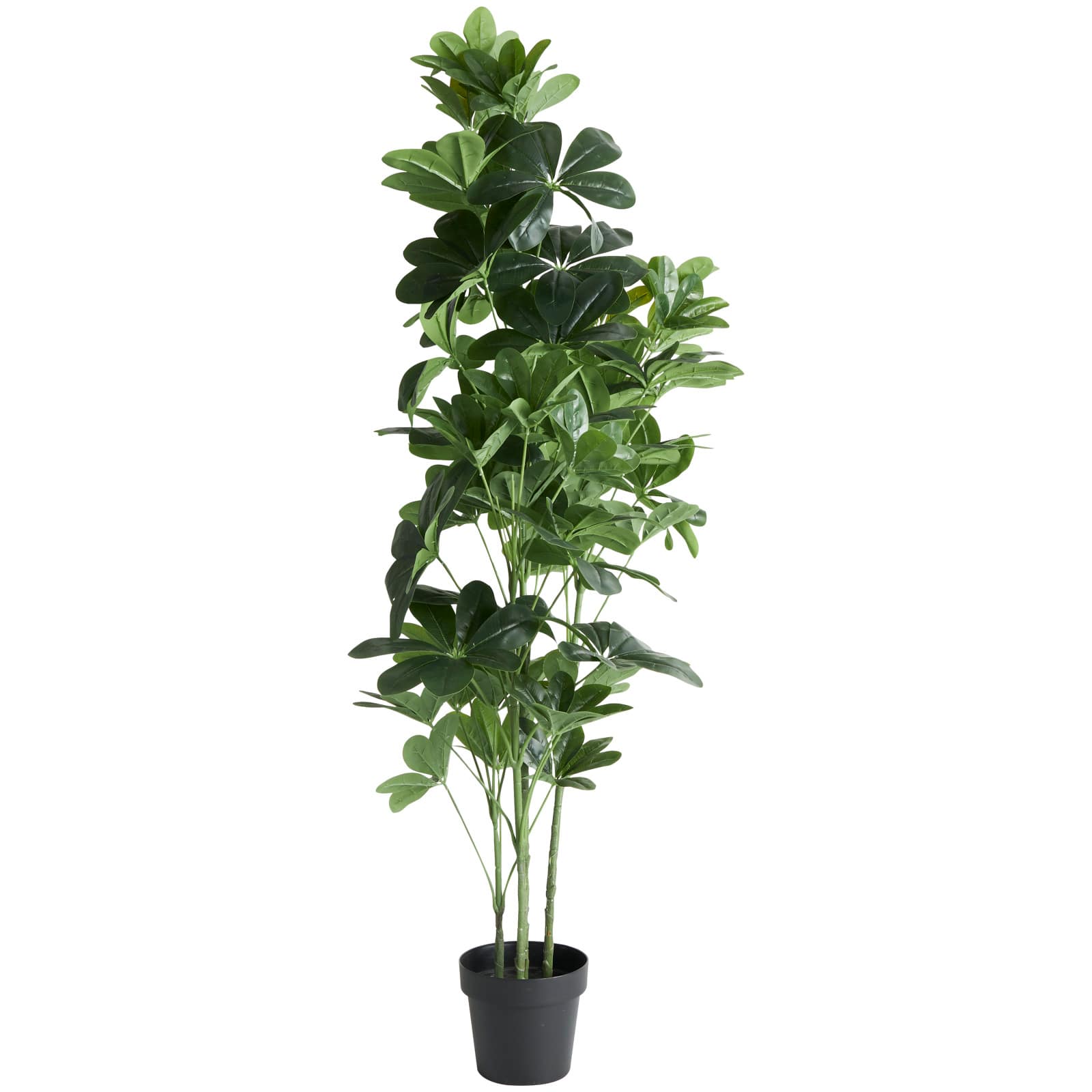 5ft. Potted Green Faux Foliage Artificial Money Tree