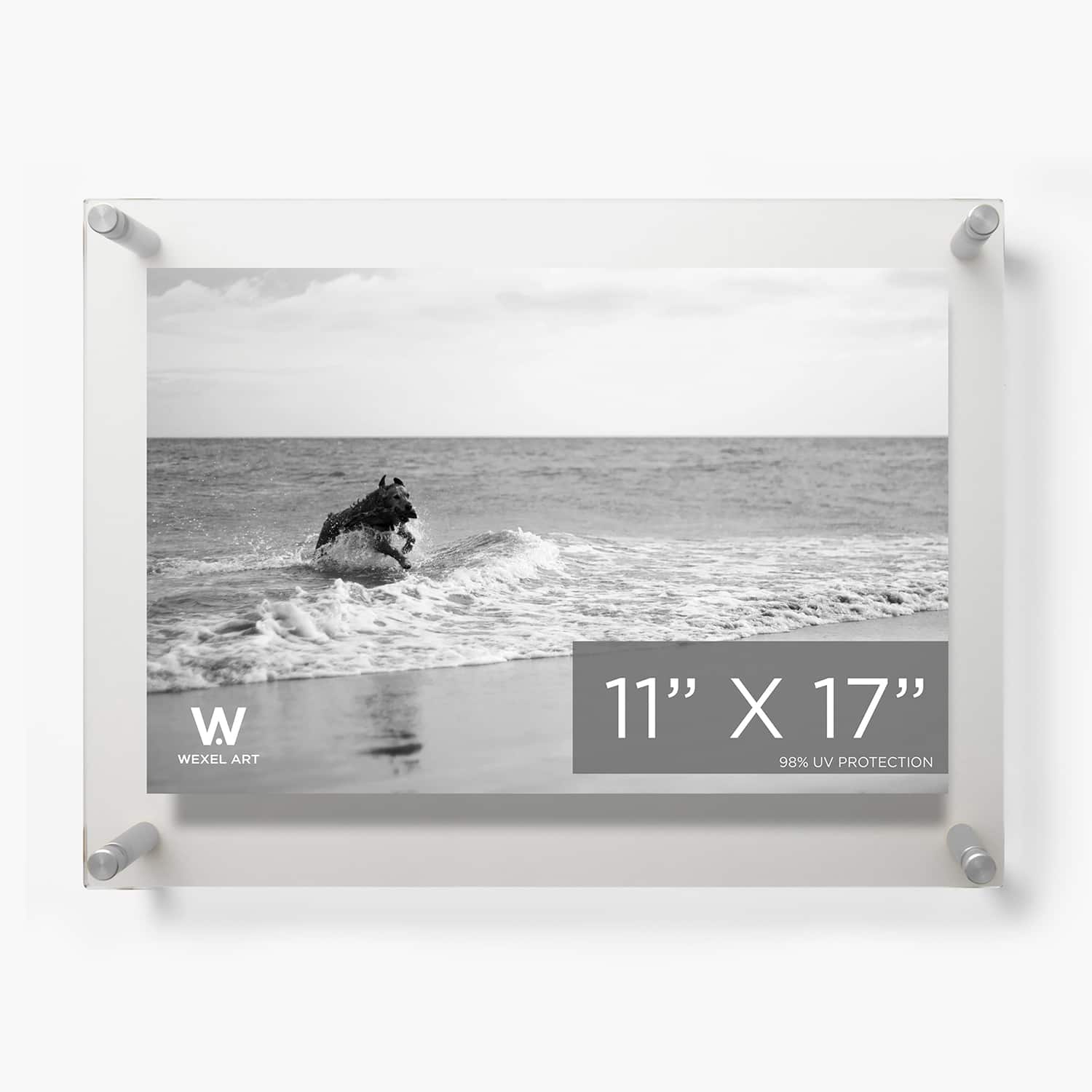 Wexel Art Double Panel Clear Acrylic Floating Wall Frame with Silver Hardware