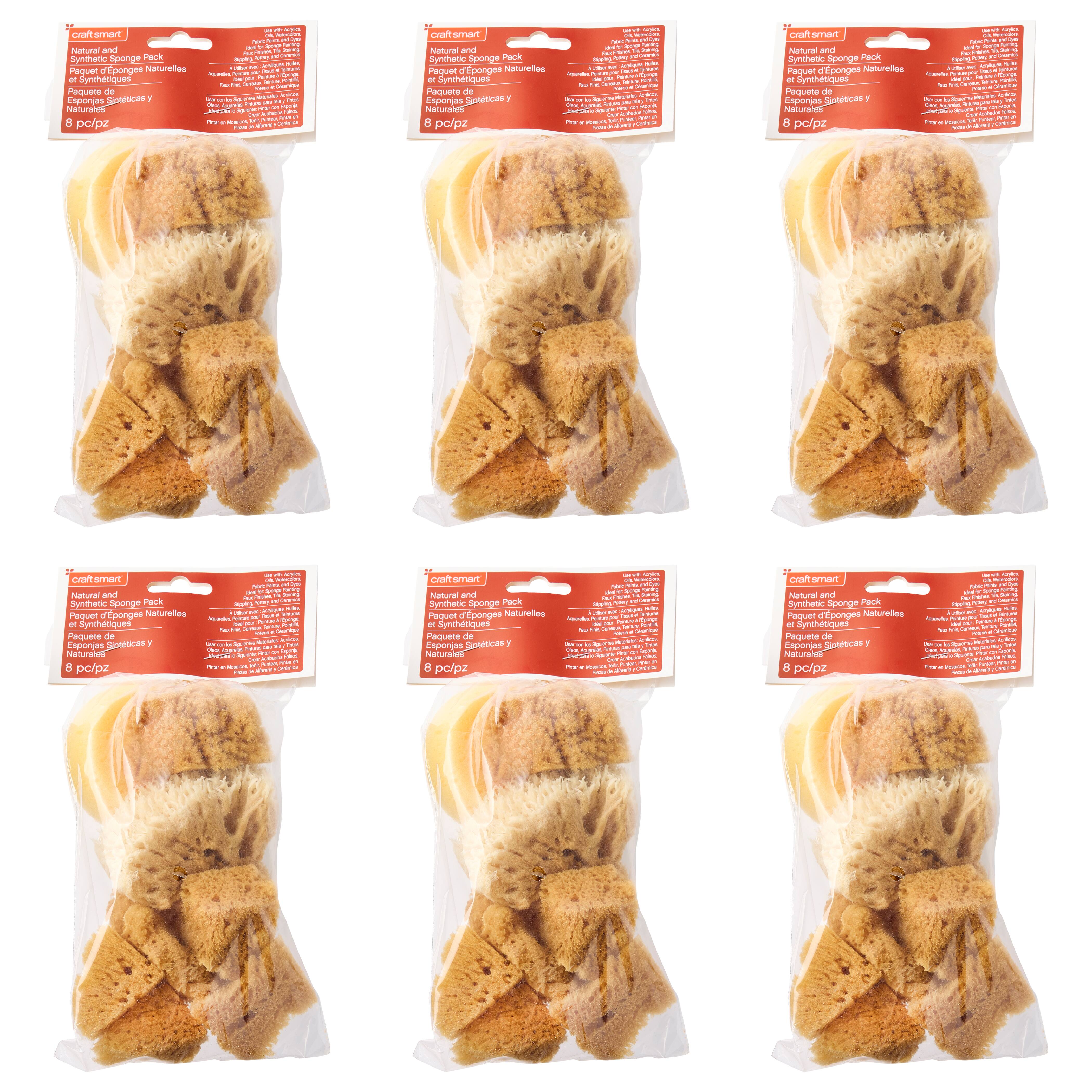 6 Pack: Variety Sponge Value Pack by Craft Smart®