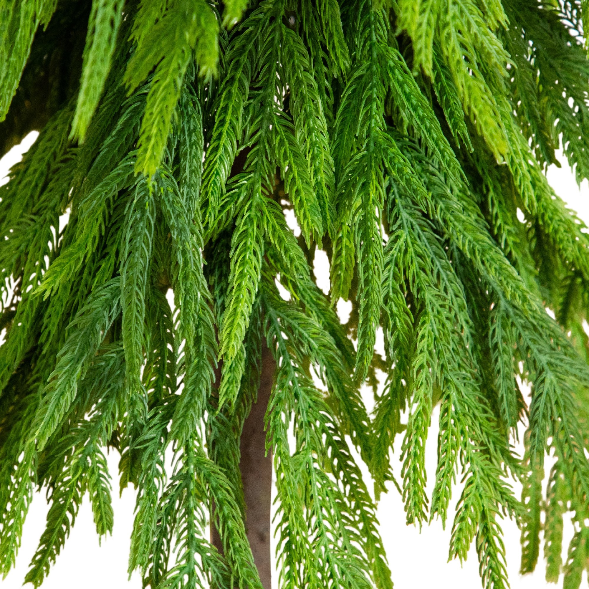 3ft. Unlit Down Swept Real Touch Norfolk Pine Artificial Christmas Tree in Nursery Pot