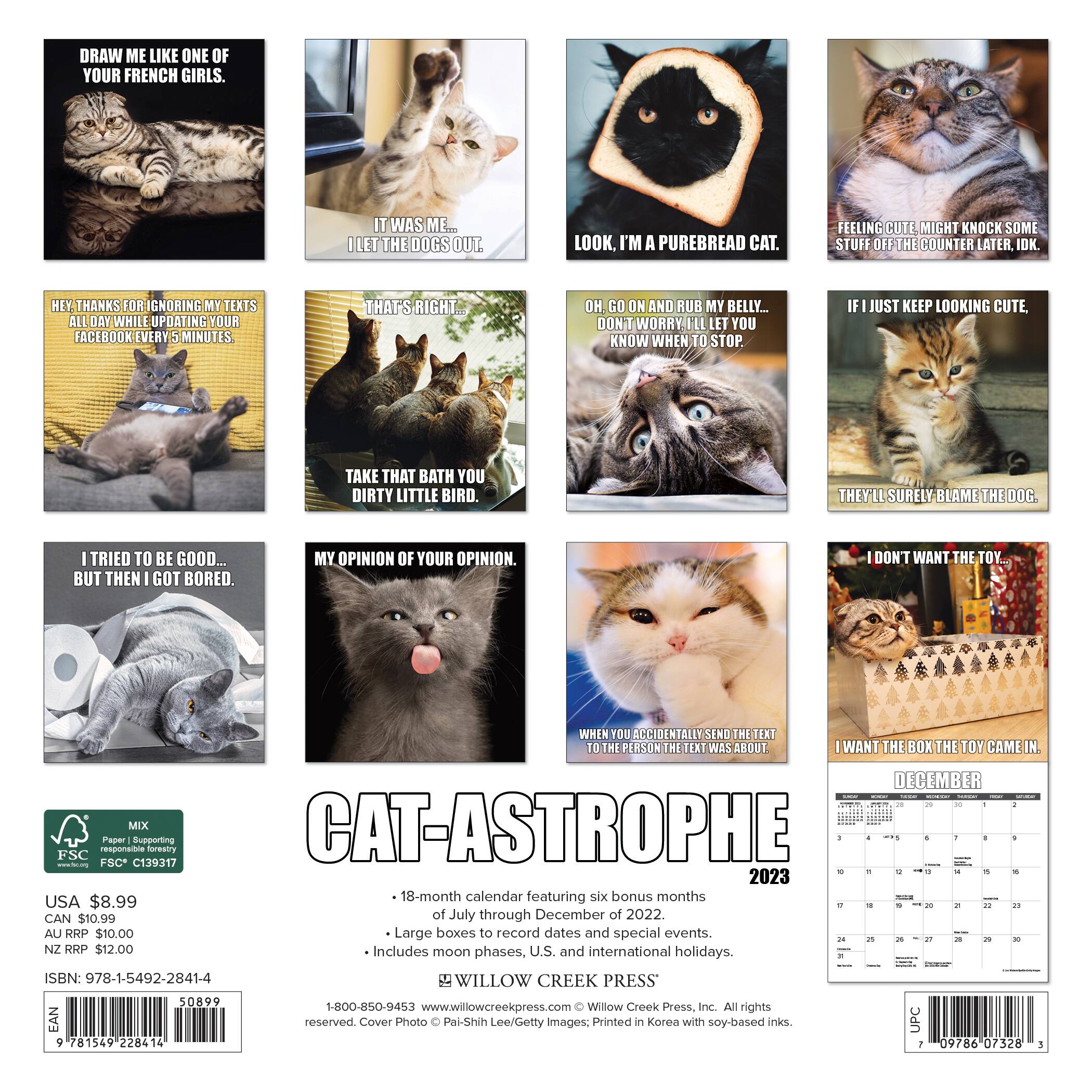 2023 Catastrophe Mini Wall Calendar Michaels