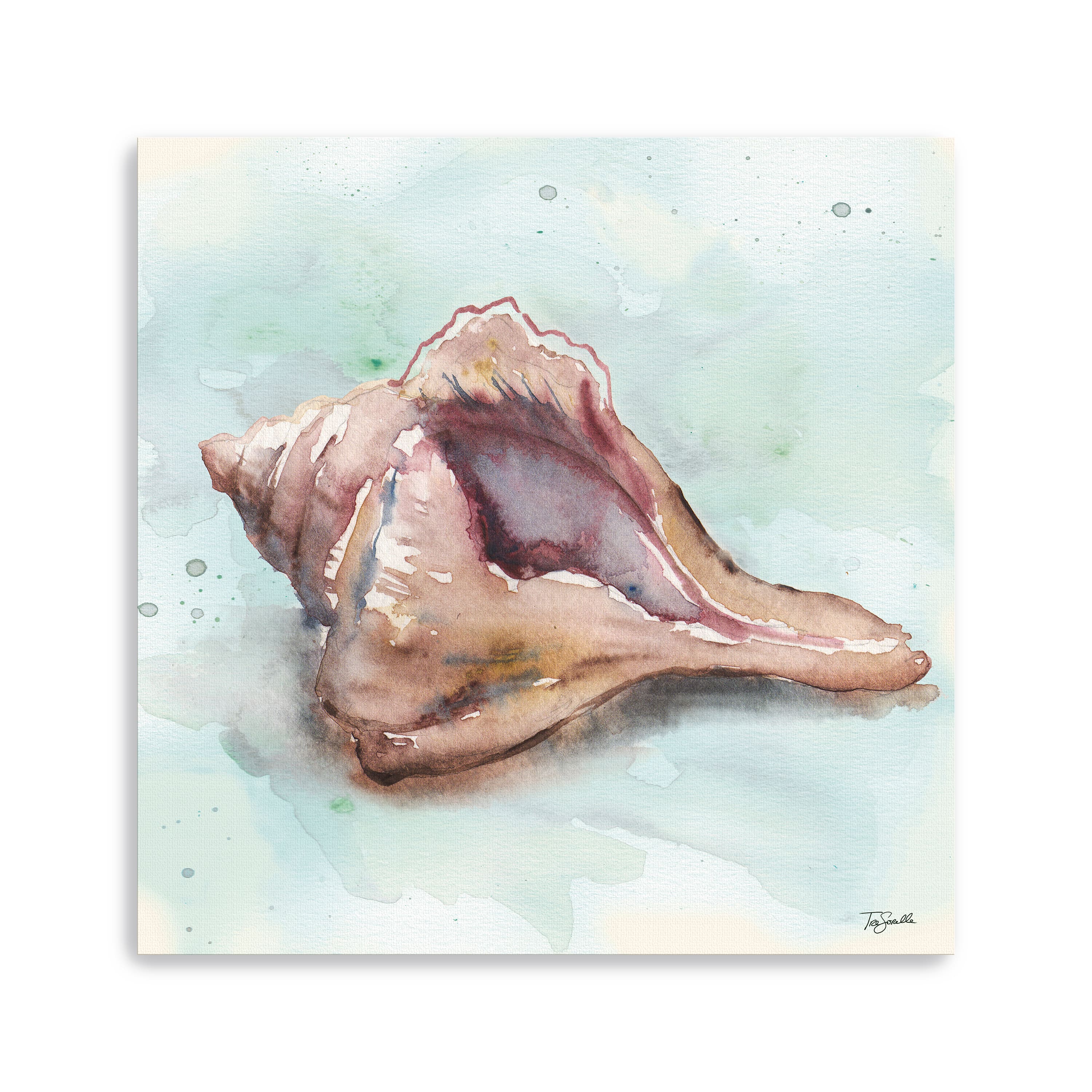 Watercolor Shells III Canvas Giclee