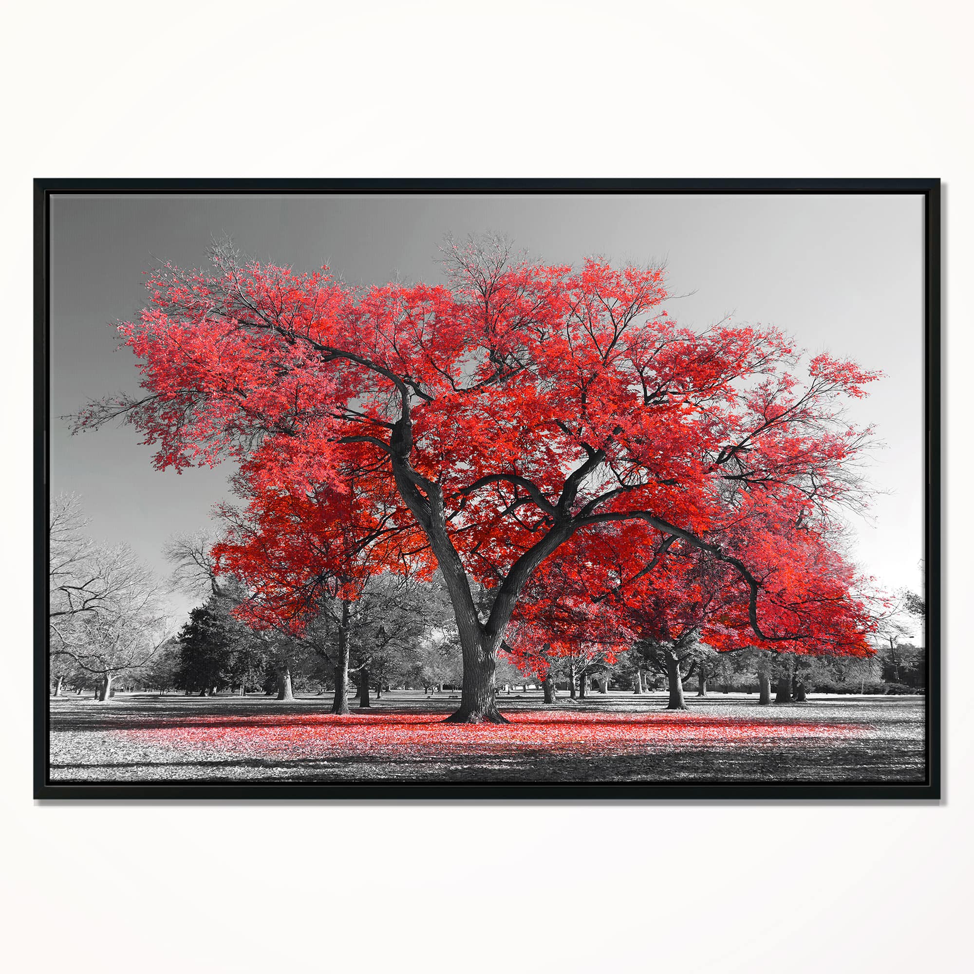 Designart - Big Red Tree on Foggy Day - Landscape Framed Canvas Art Print