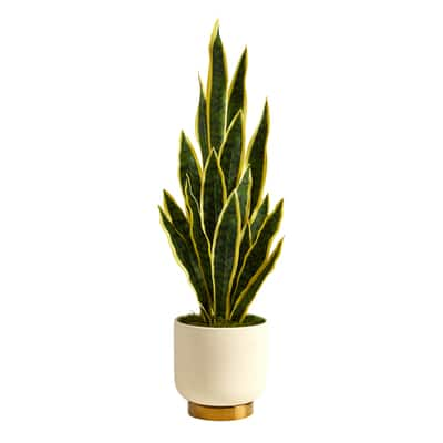 3ft. Snake Plant in Cream Planter with Gold Base | Michaels