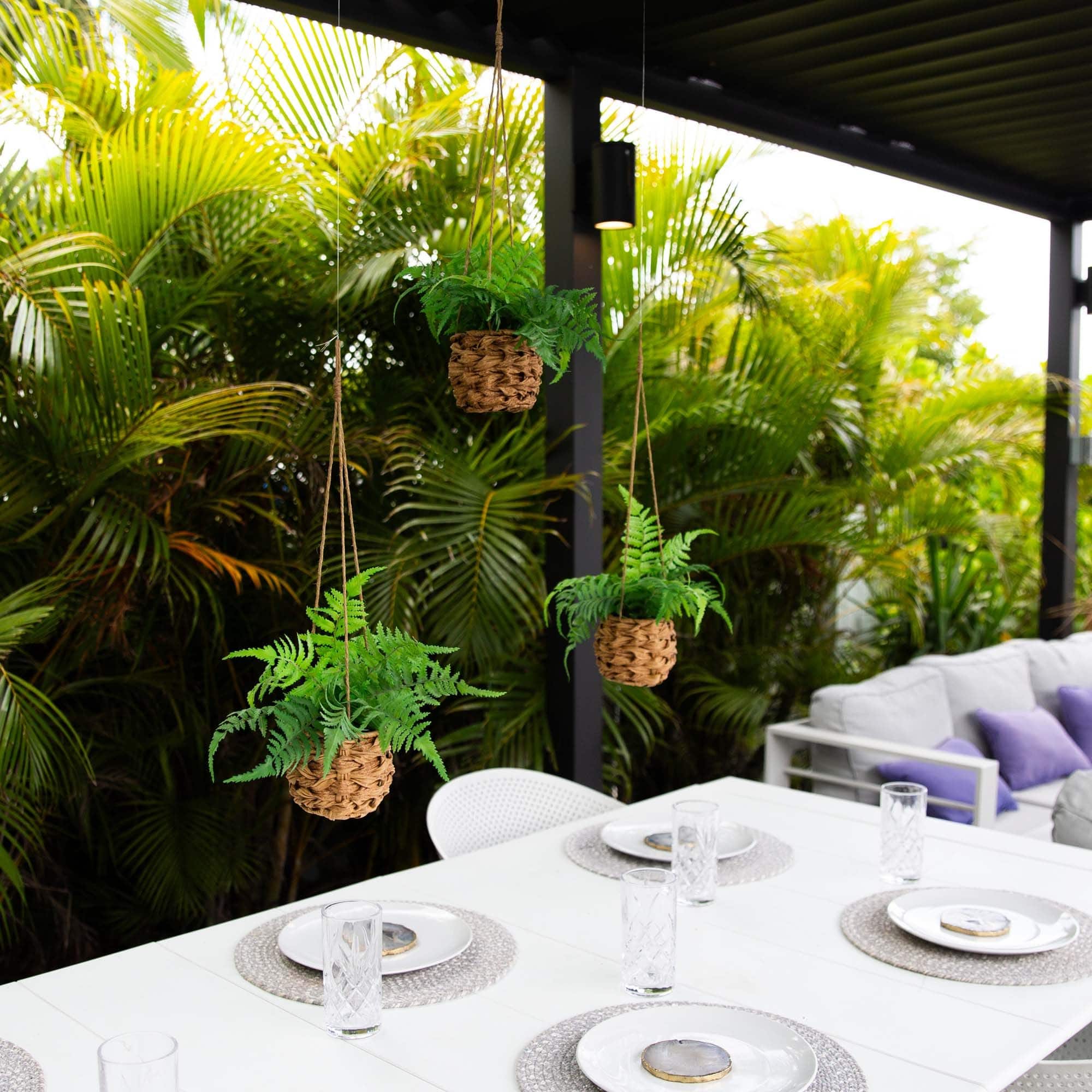 10" UV-Resistant Boston Ferns in Hanging Wicker Baskets, 3ct.