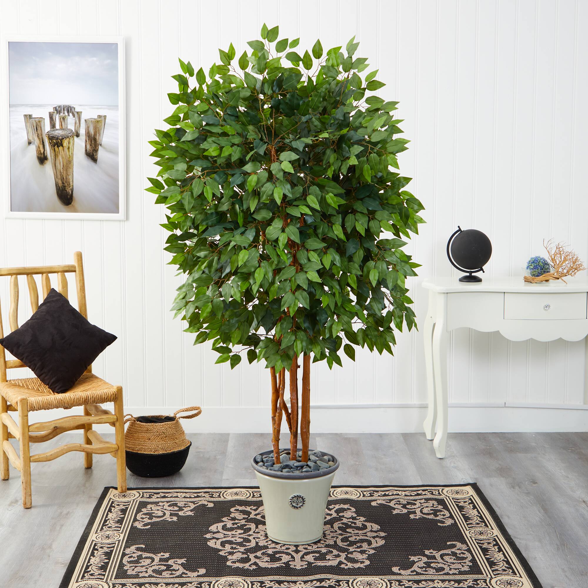5.5ft. Super Deluxe Ficus Tree in Decorative Planter