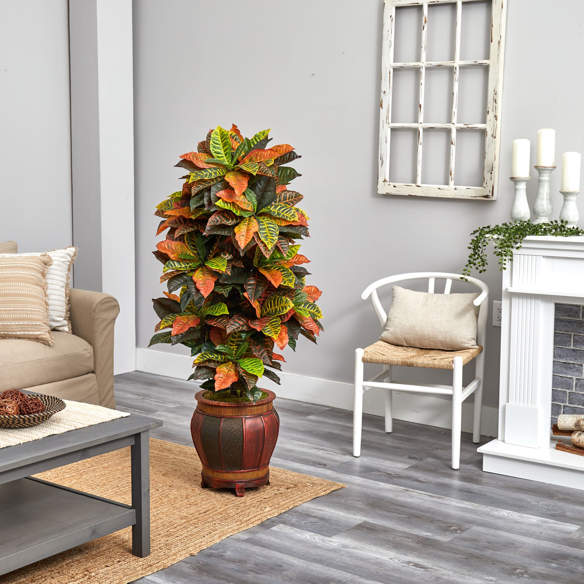 5.5ft. Croton Plant in Decorative Planter