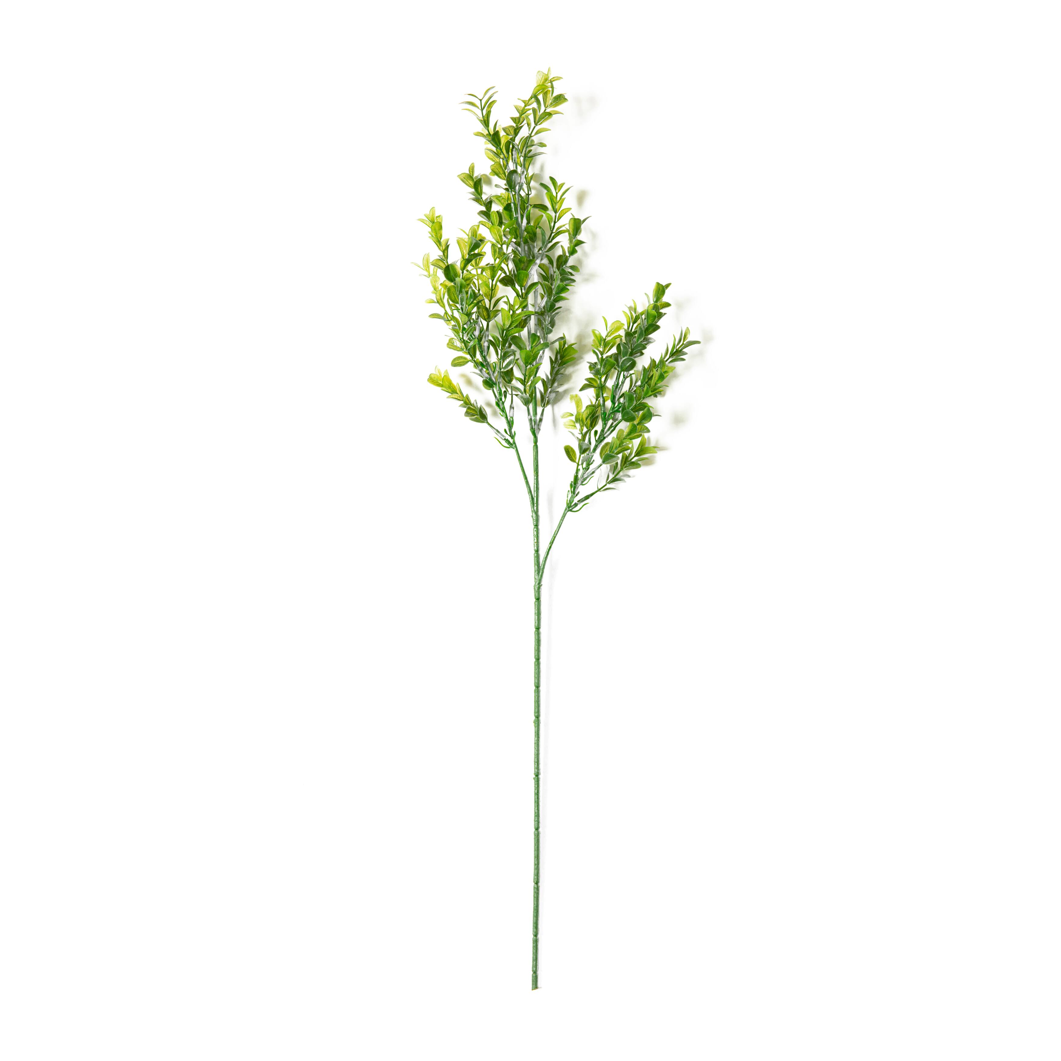 Sweet Grass Stem by Ashland®