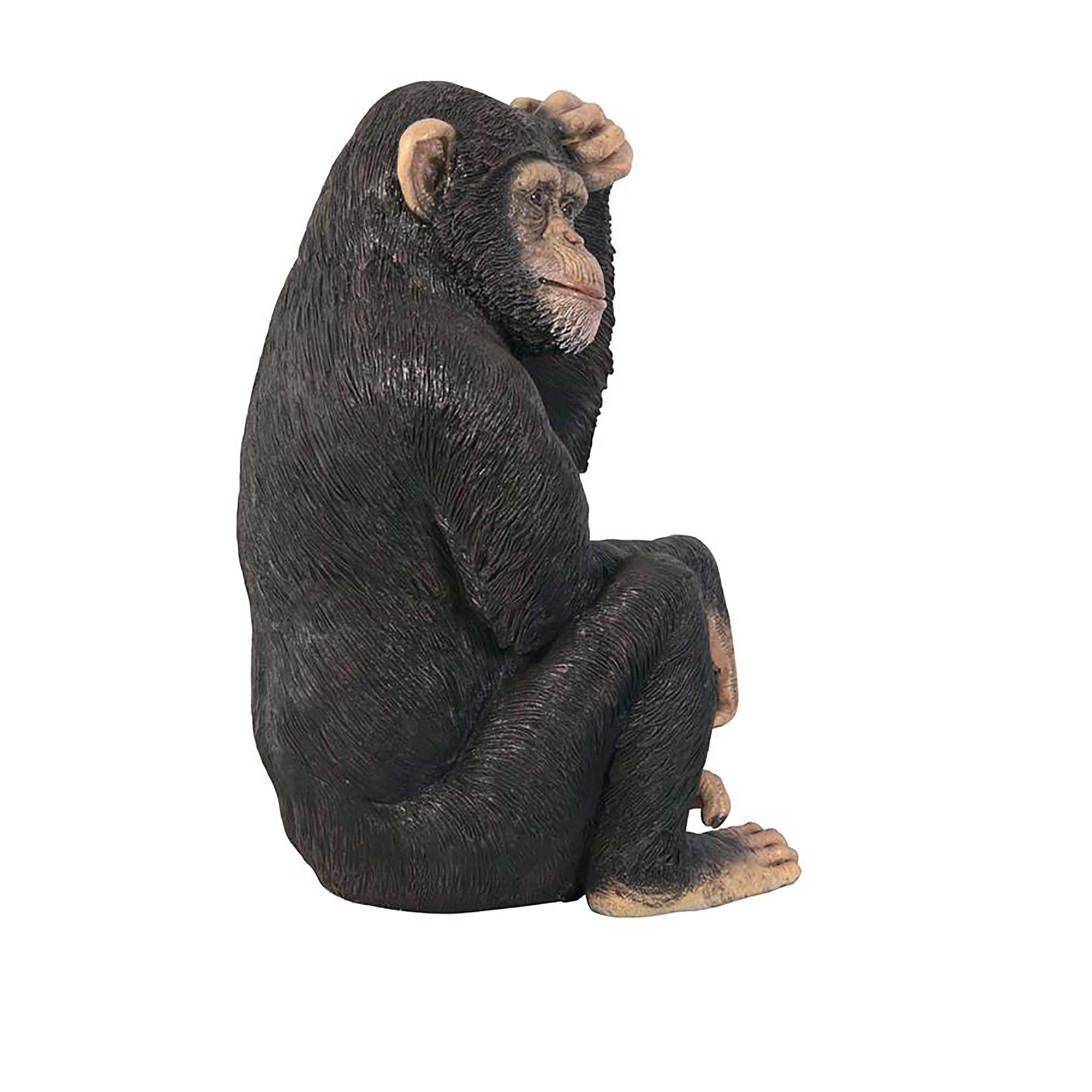 Design Toscano Chauncey the Confused Chimp Garden Monkey Statue