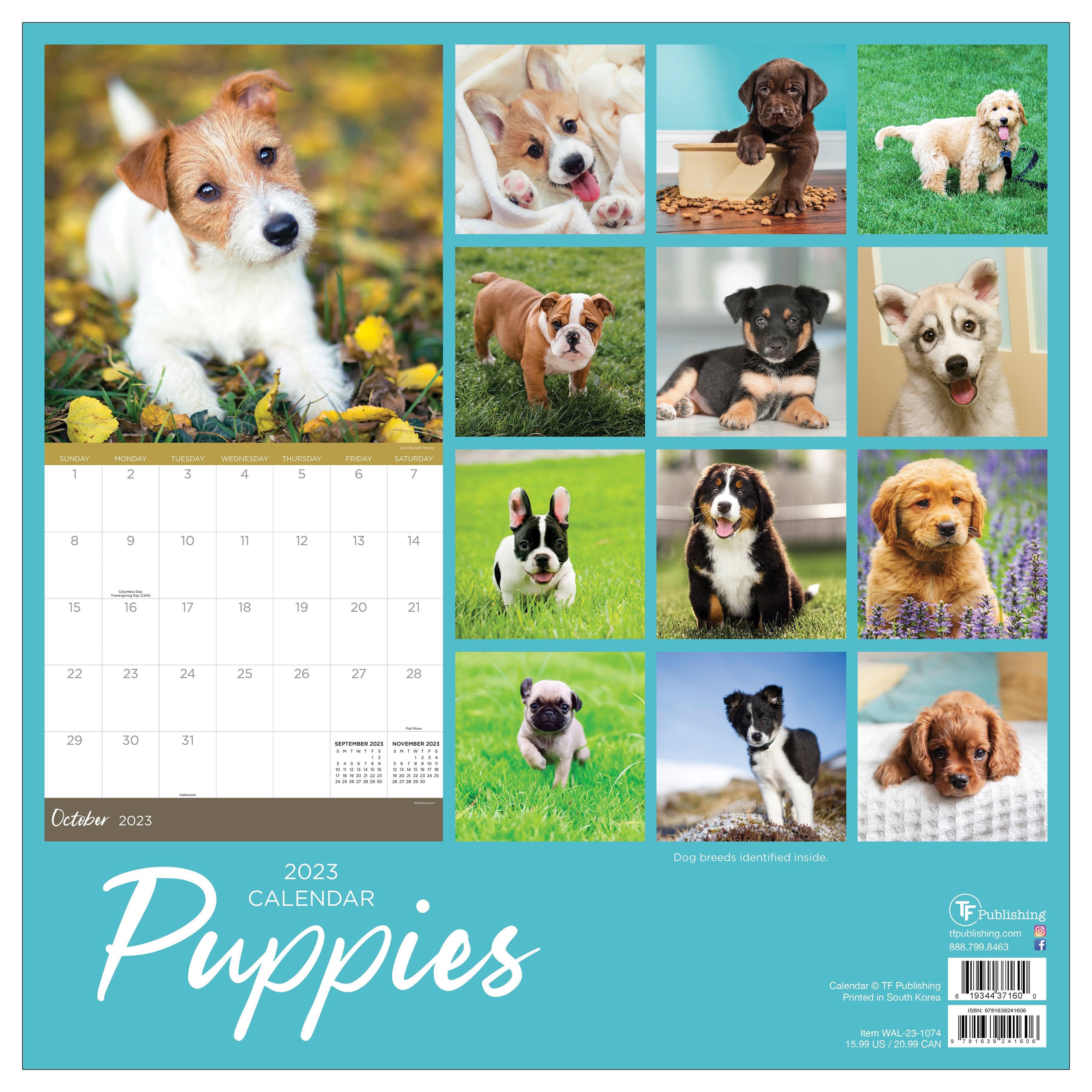 TF Publishing 2023 Puppies Wall Calendar | Michaels