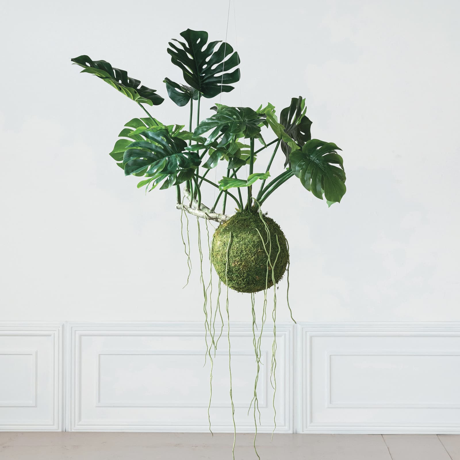 Hello Honey® 51" Lush Green Hanging Monstera Kokedama