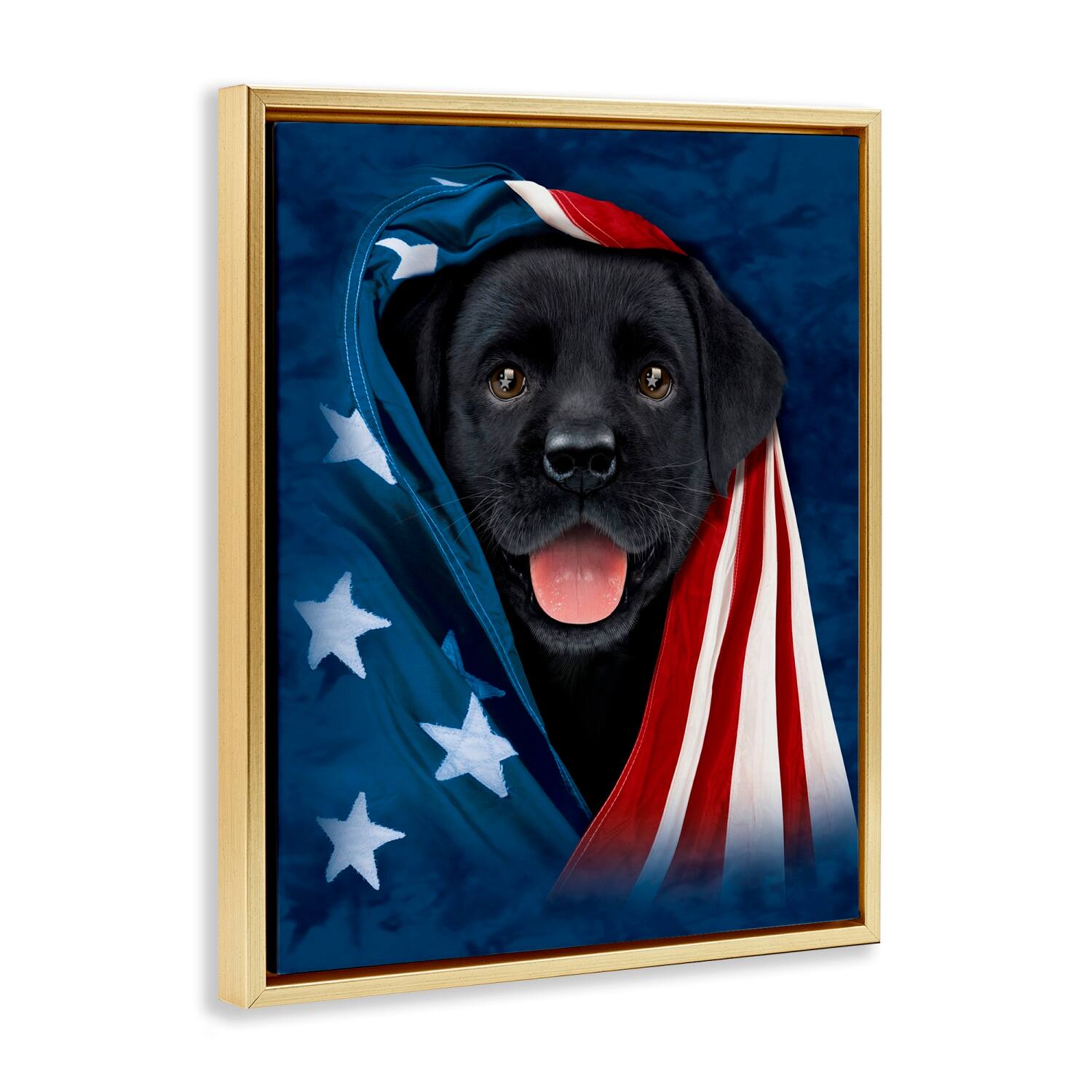 Stupell Industries Labrador & American Flag Floater Framed Art