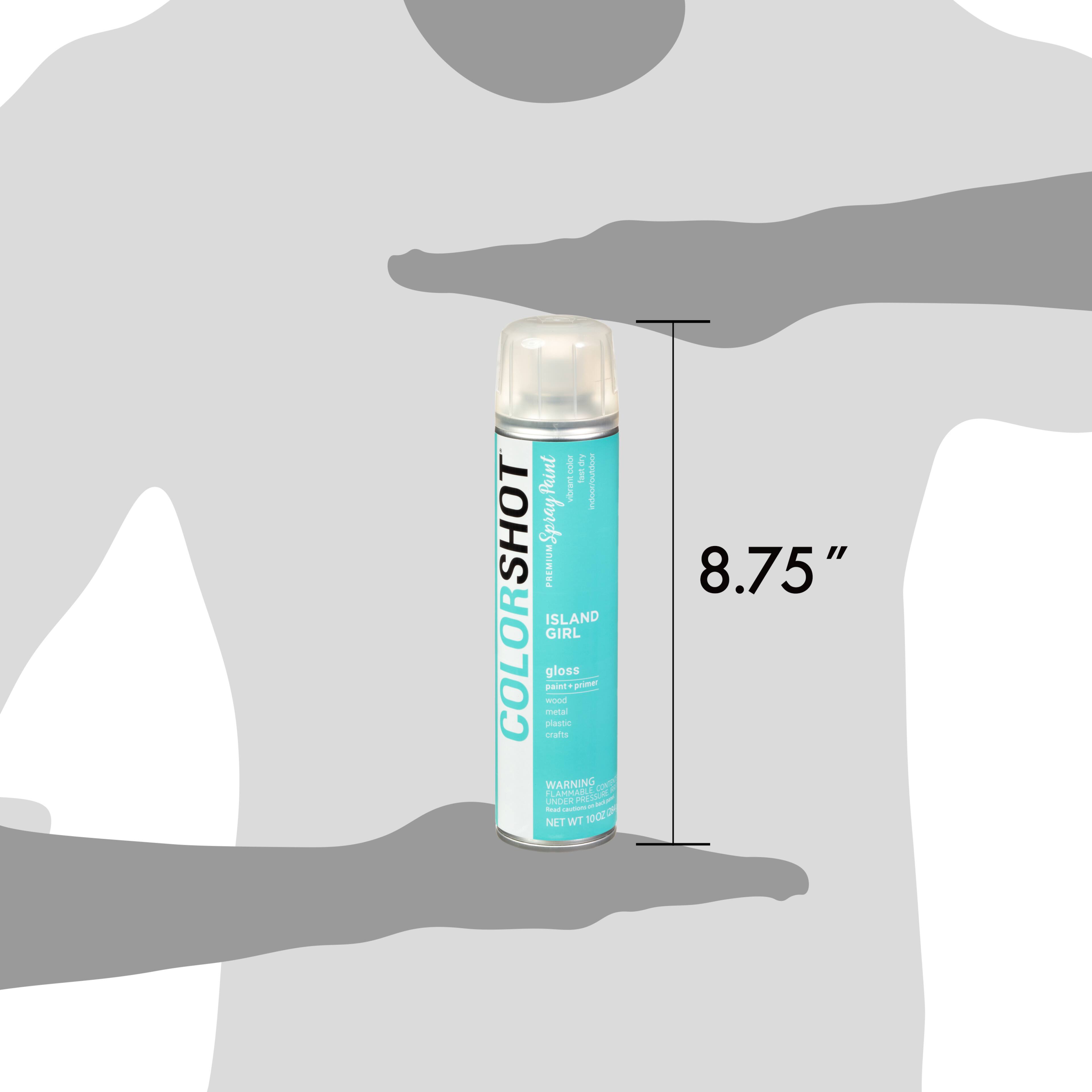 COLORSHOT&#xAE; Premium Gloss Spray Paint