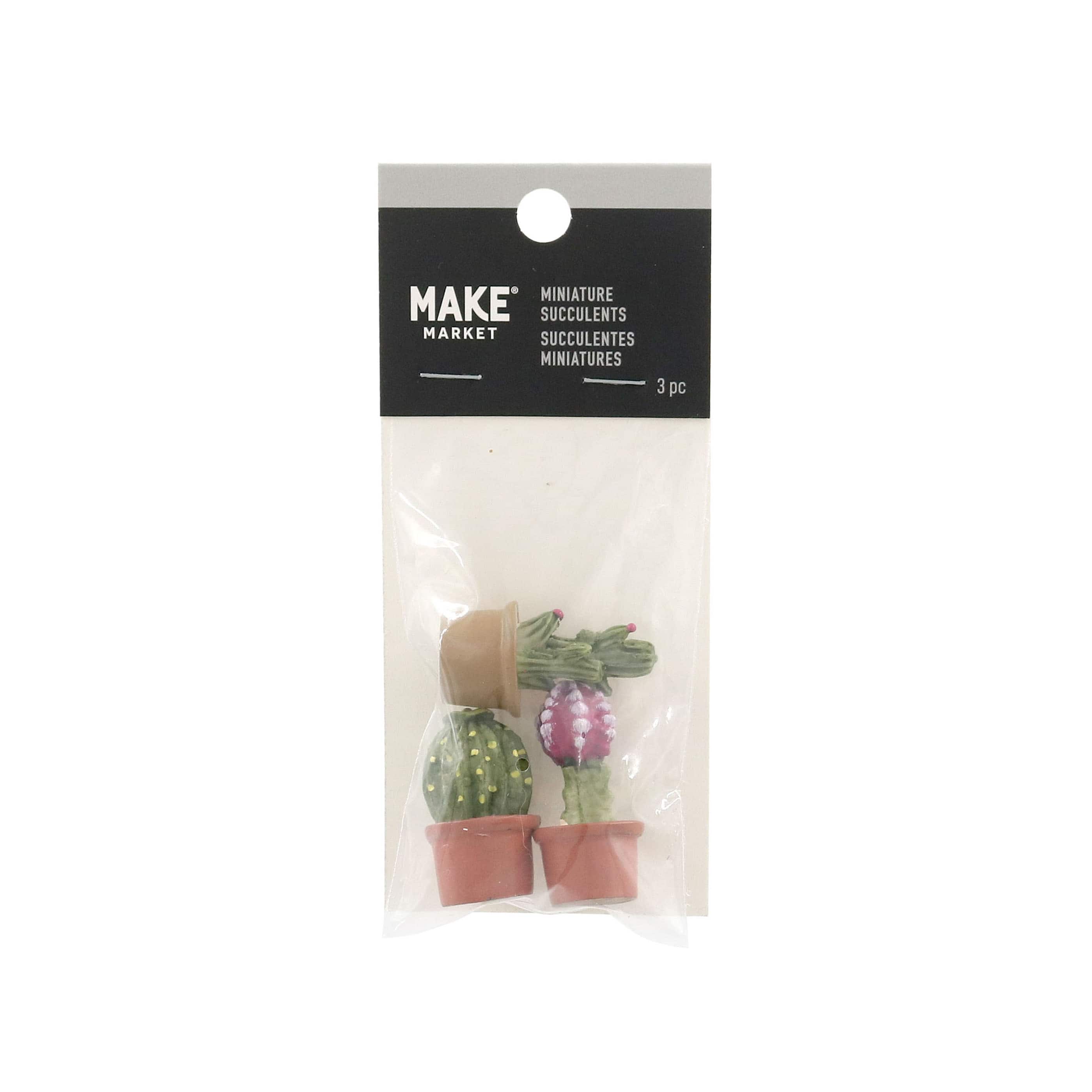 Mini Cactus Set by Make Market®
