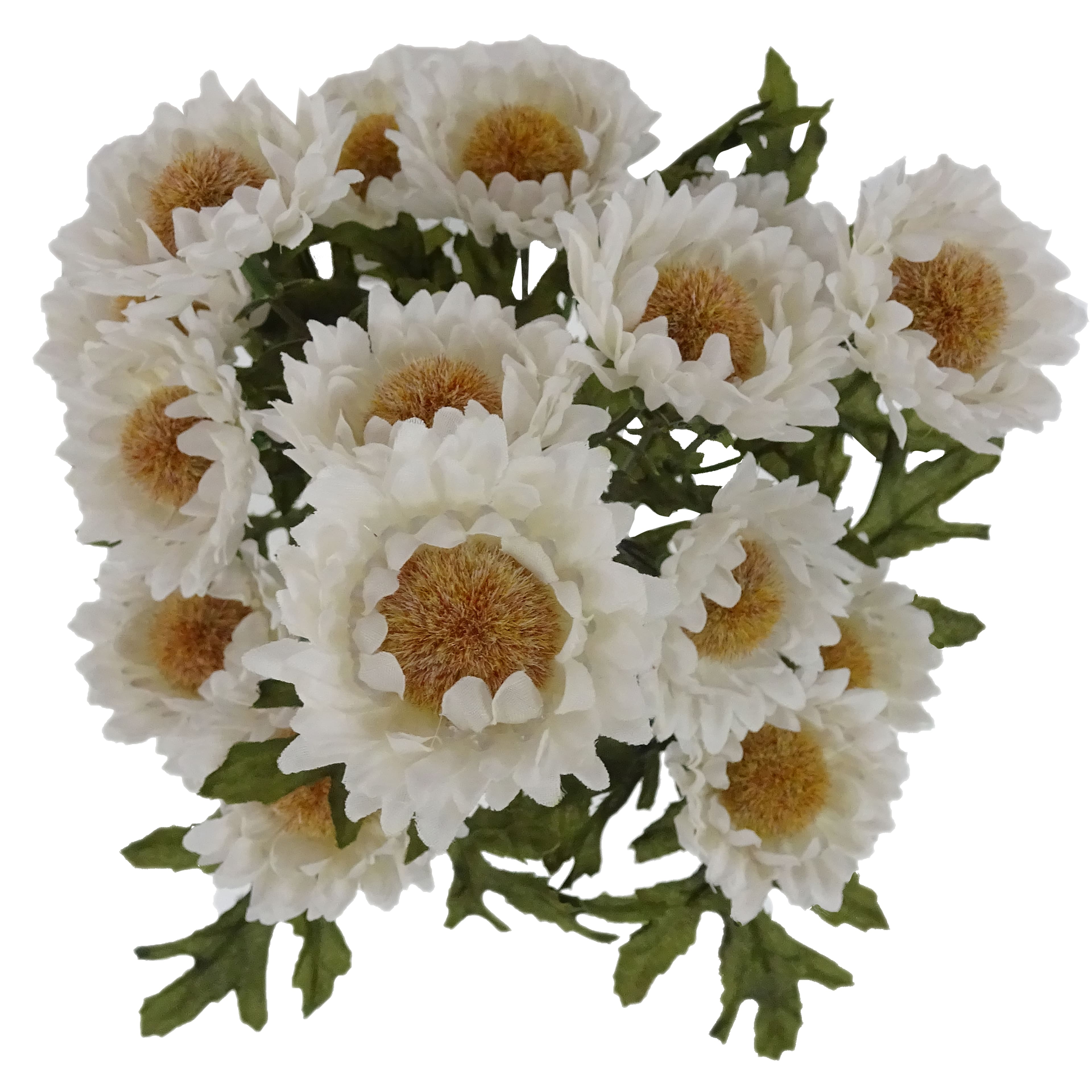 16&#x22; Cream Strawflower Bush by Ashland&#xAE;