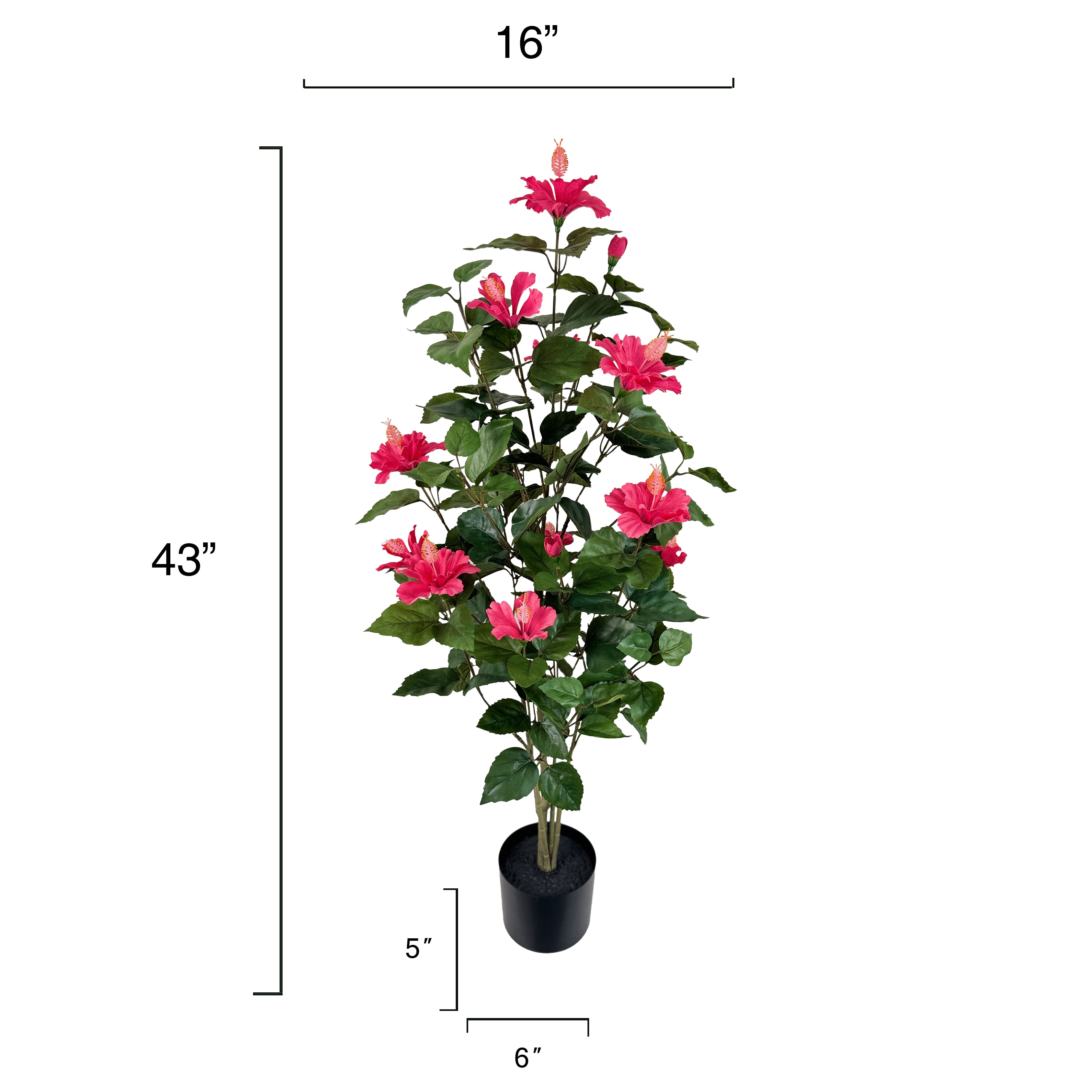 3.5ft. Potted Pink Hibiscus Plant by Ashland&#xAE;