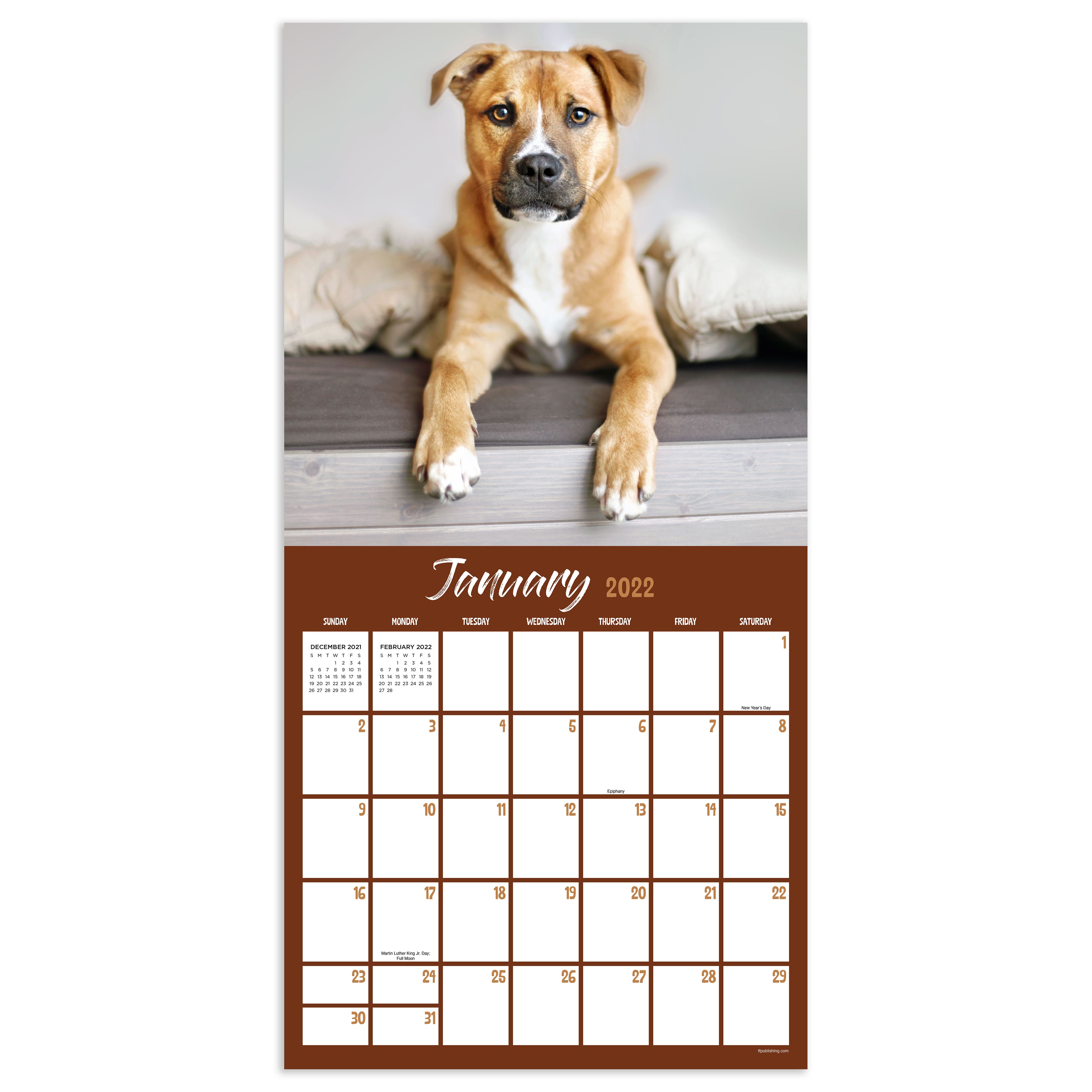 2022 Mutts Wall Calendar | Michaels