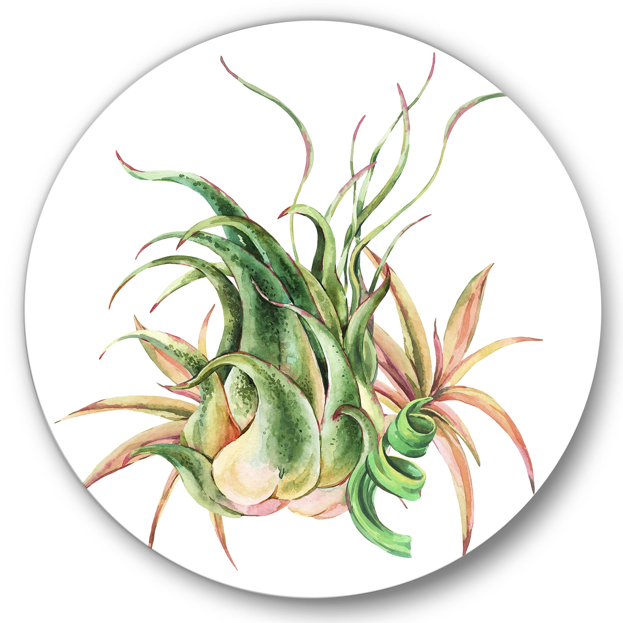 Designart - Tropical Leaves Air Plant Succulent - Farmhouse Metal Circle Wall Art