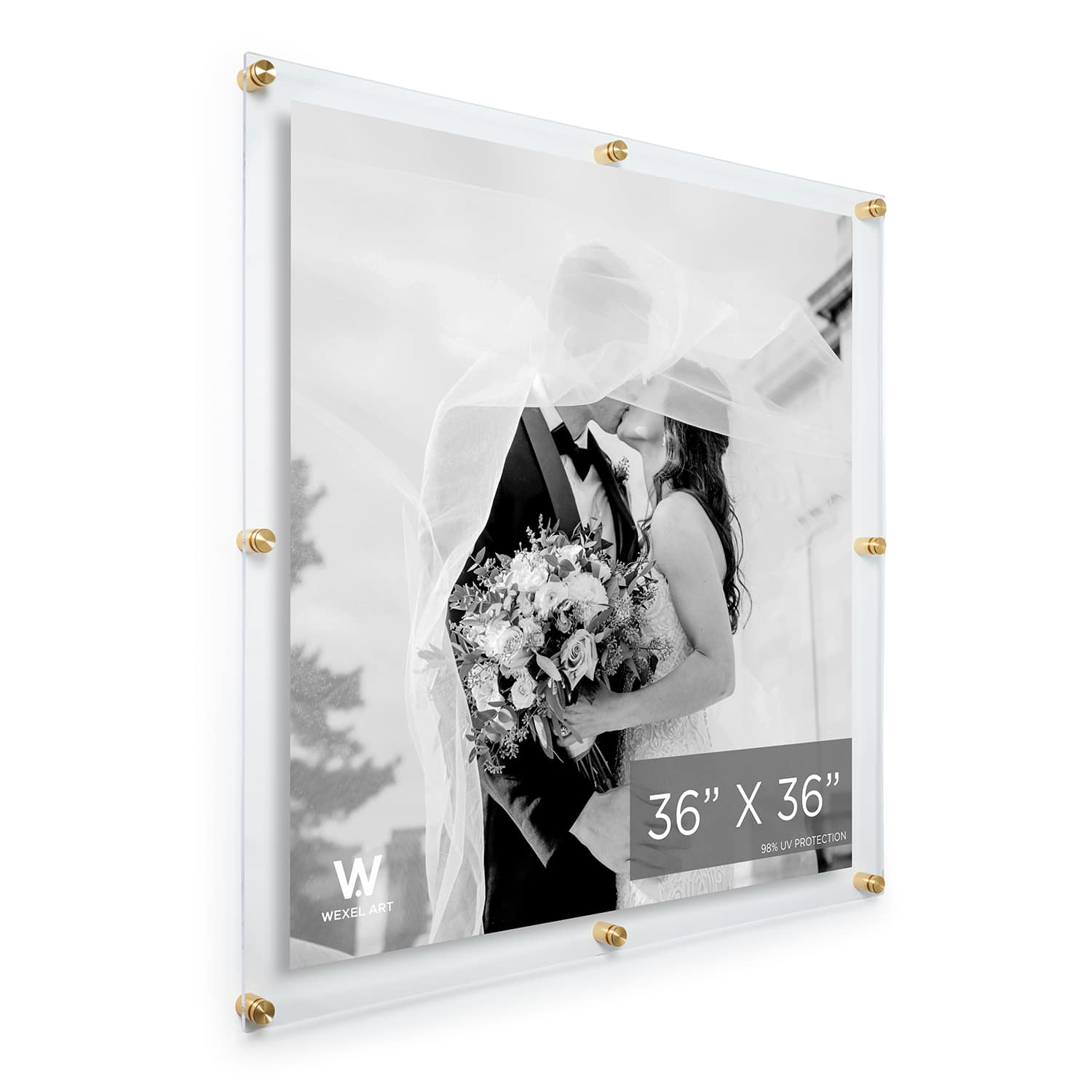 Wexel Art Double Panel Clear Acrylic Floating Wall Frame with Gold Hardware