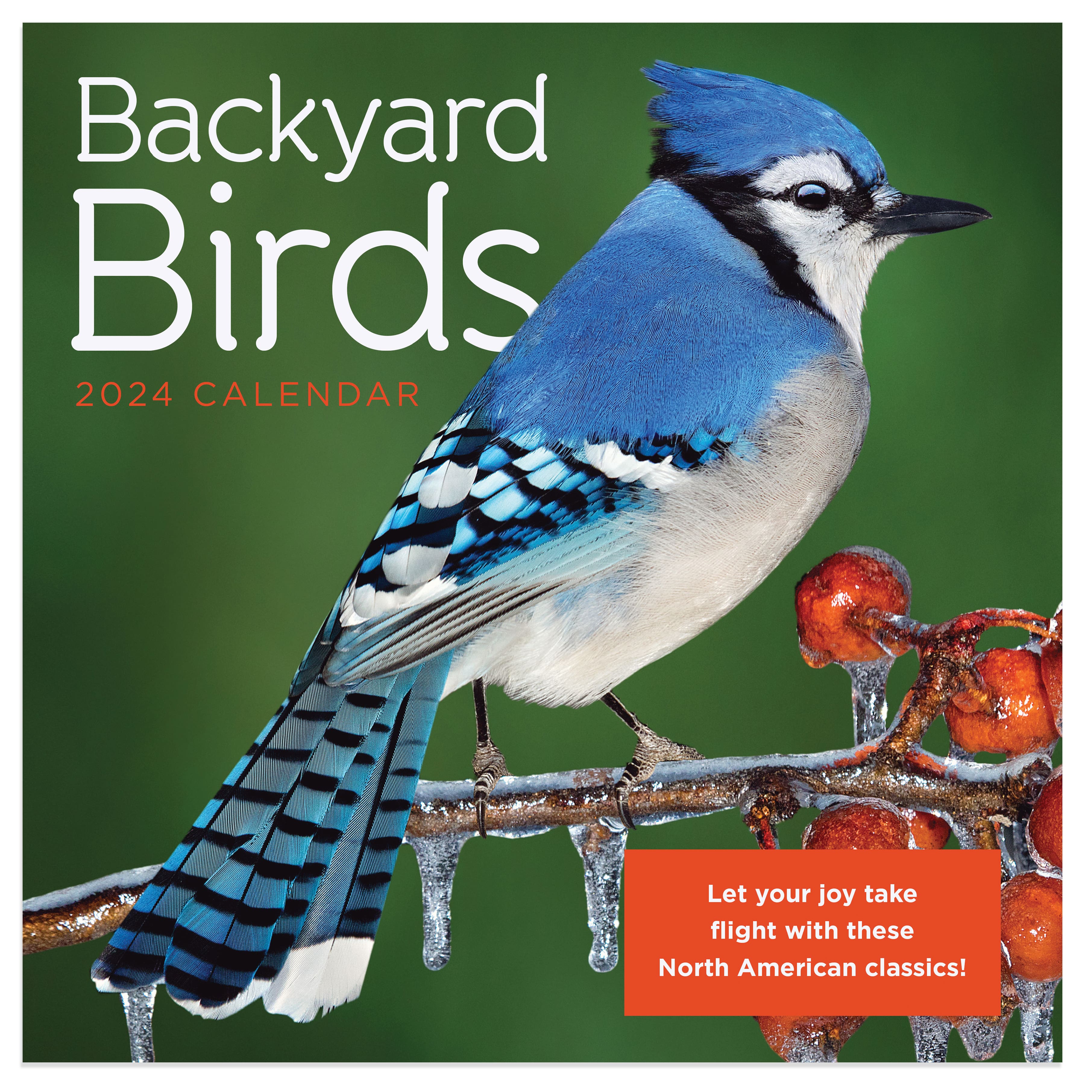 TF Publishing 2024 Backyard Birds Mini Calendar Michaels   D723666S 1 