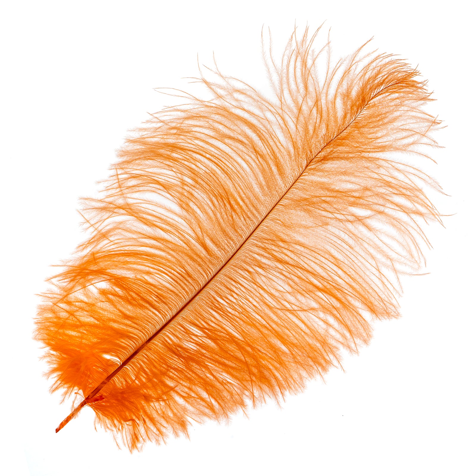 John Bead 11&#x22;-13&#x22; Ostrich Drab Feather